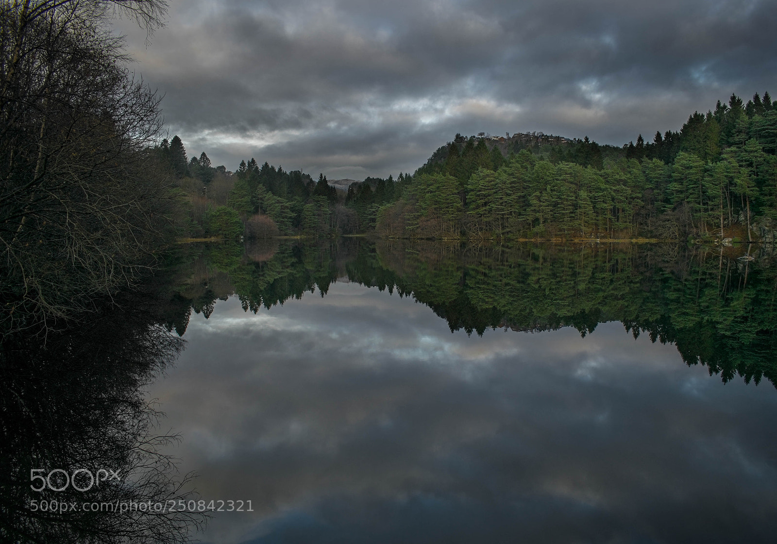 Nikon D5300 sample photo. Perfect reflection photography