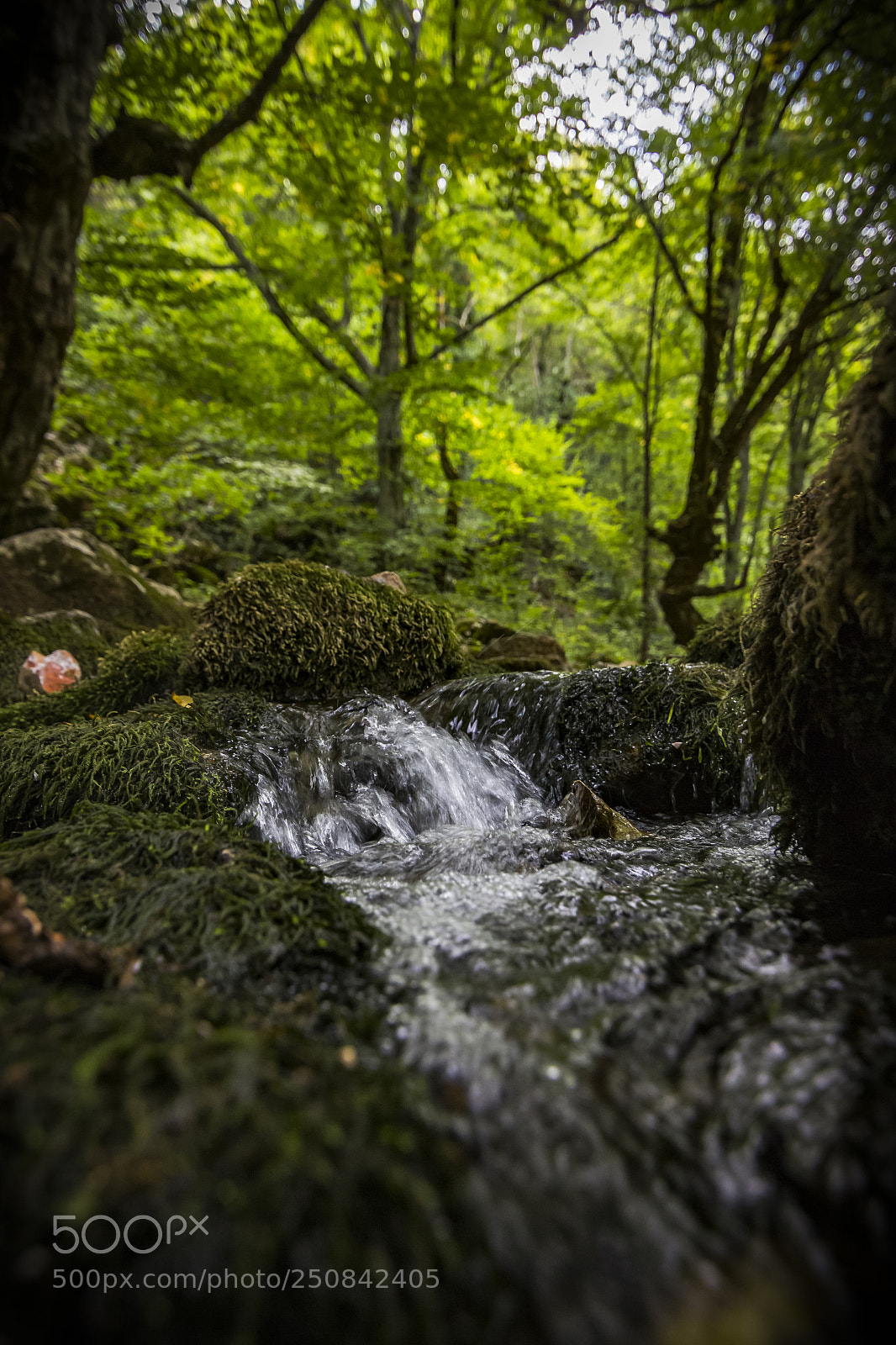 Canon EOS 60D sample photo. Stream photography
