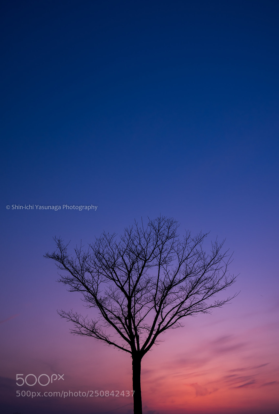 Pentax K-70 sample photo. Twilight time photography