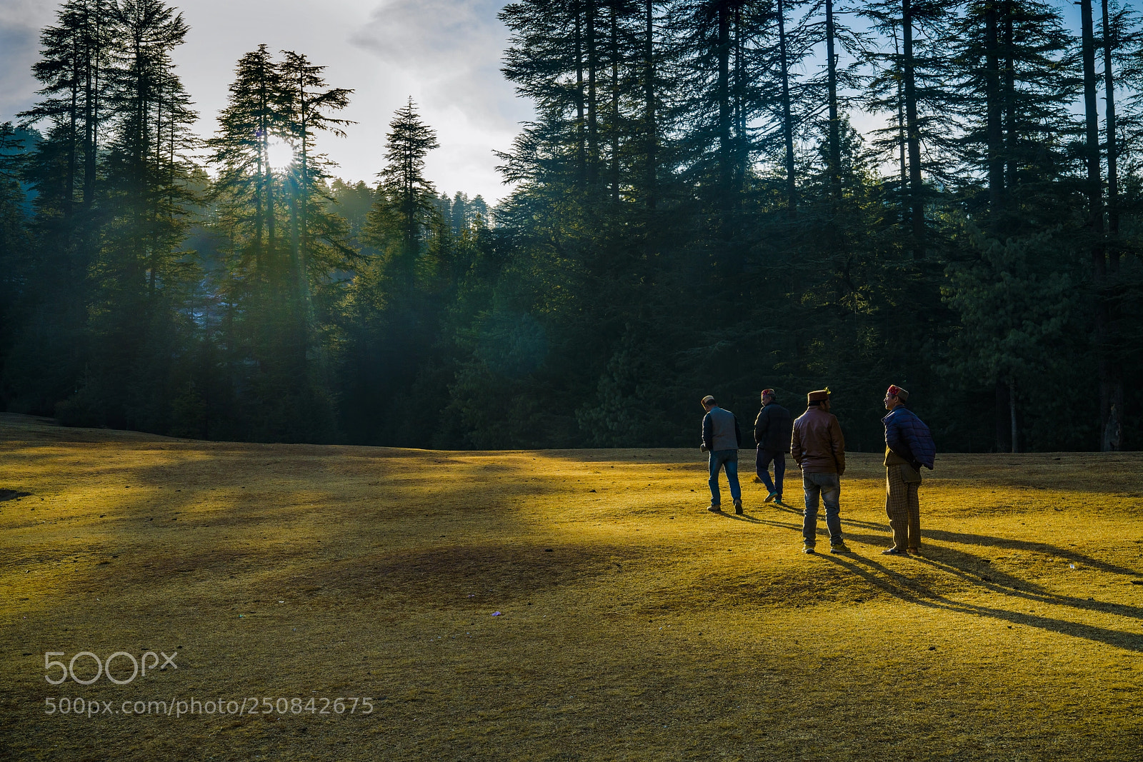 Sony a7R II sample photo. Dsc photography