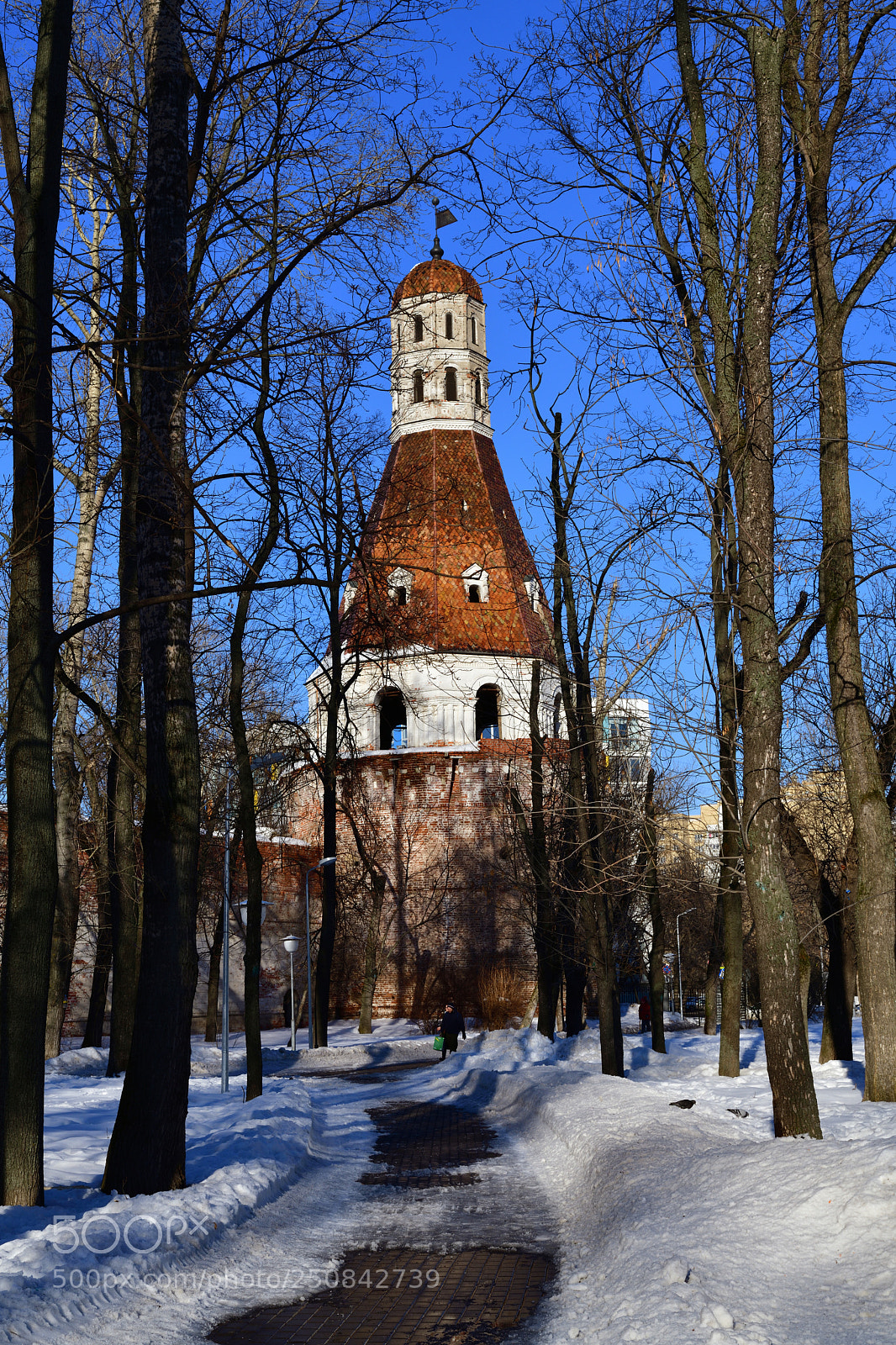 Nikon D850 sample photo. Moscow, russia - march photography