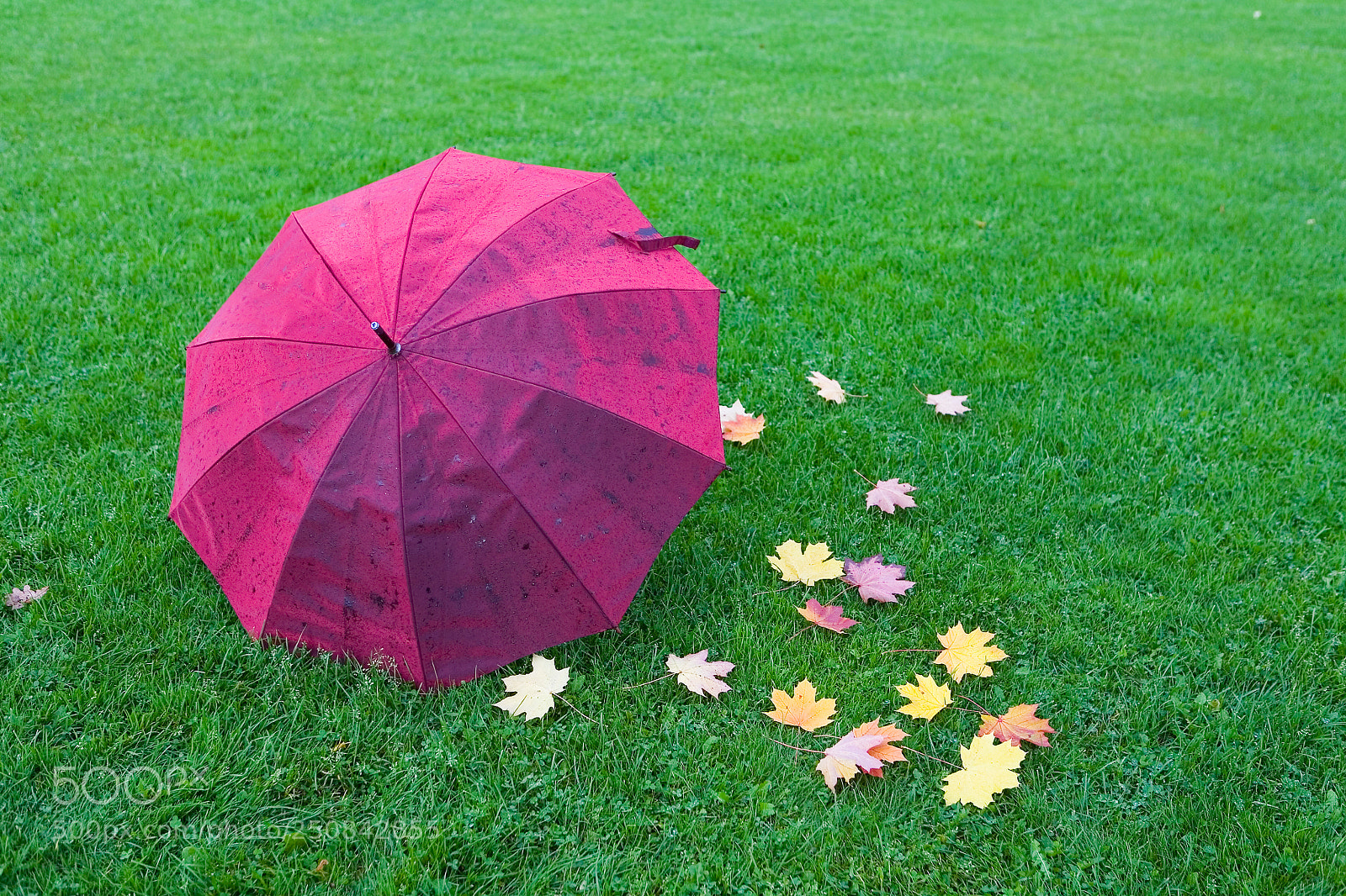 Canon EOS 5D sample photo. A wet umbrella and photography