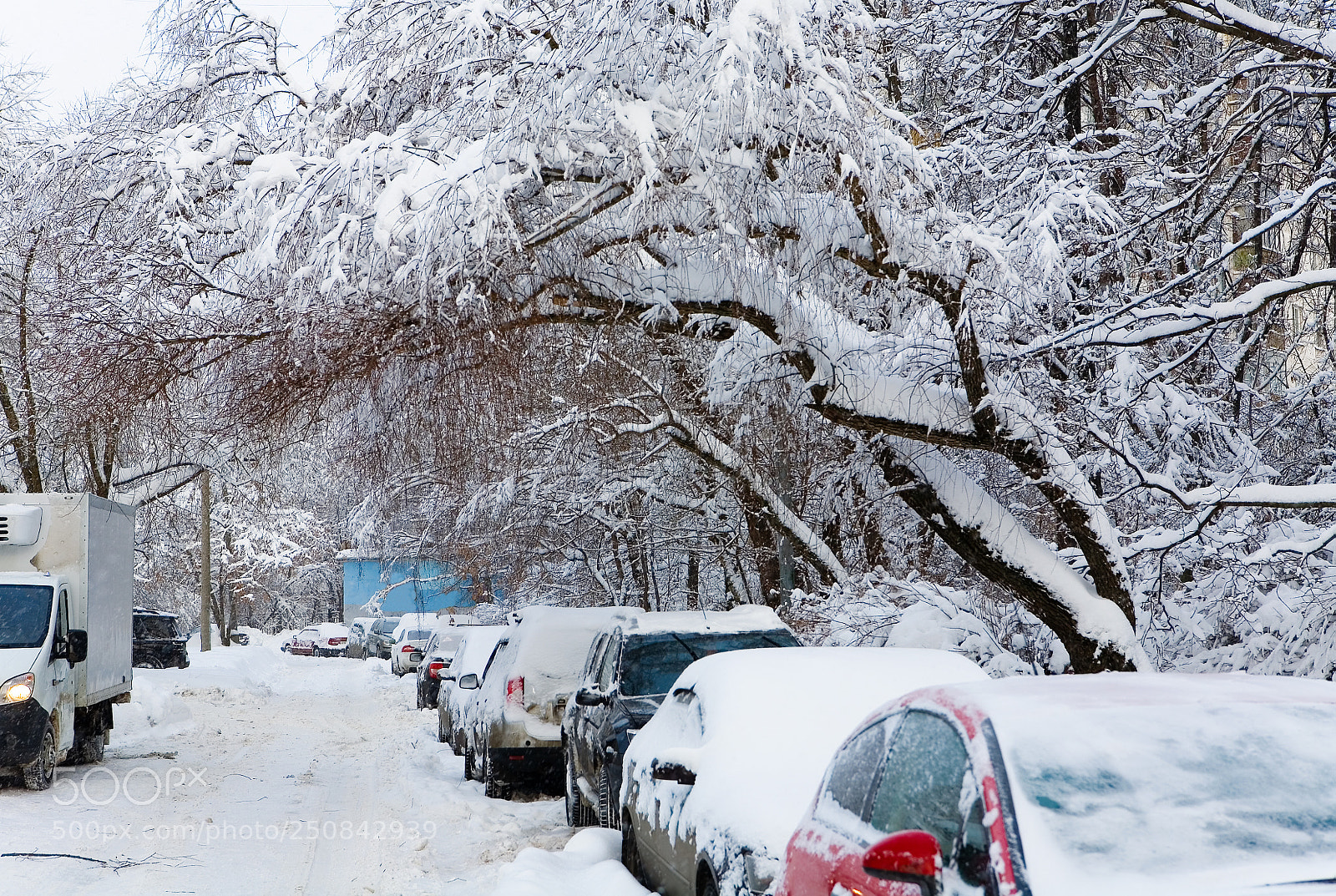 Canon EOS 5D sample photo. Cars are parked in photography