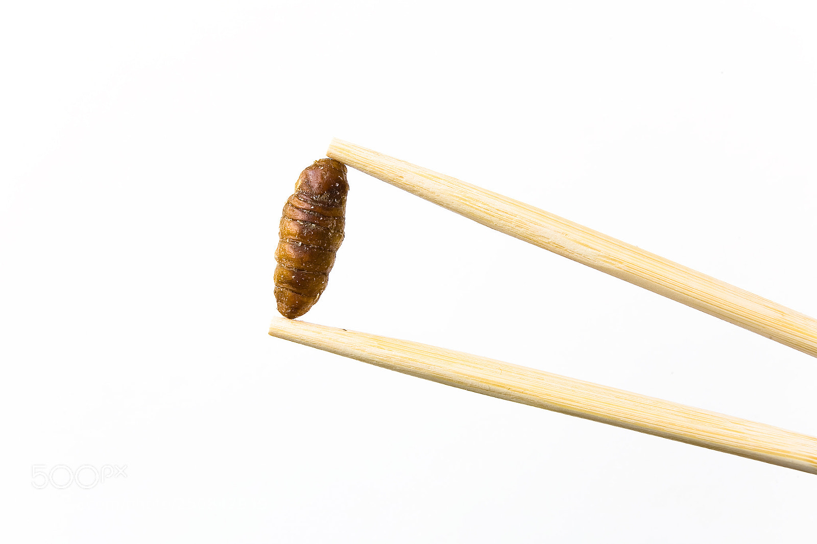Canon EOS 5D sample photo. Silkworm fried with soy photography