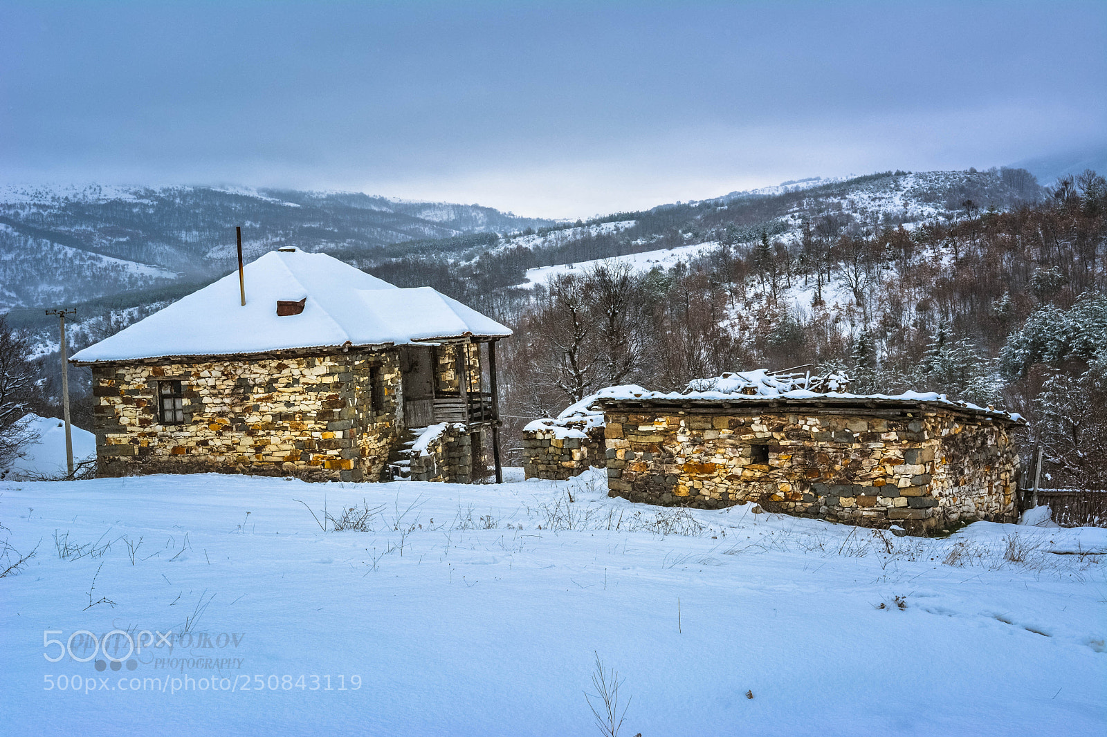 Nikon D5200 sample photo. Spring in winter photography