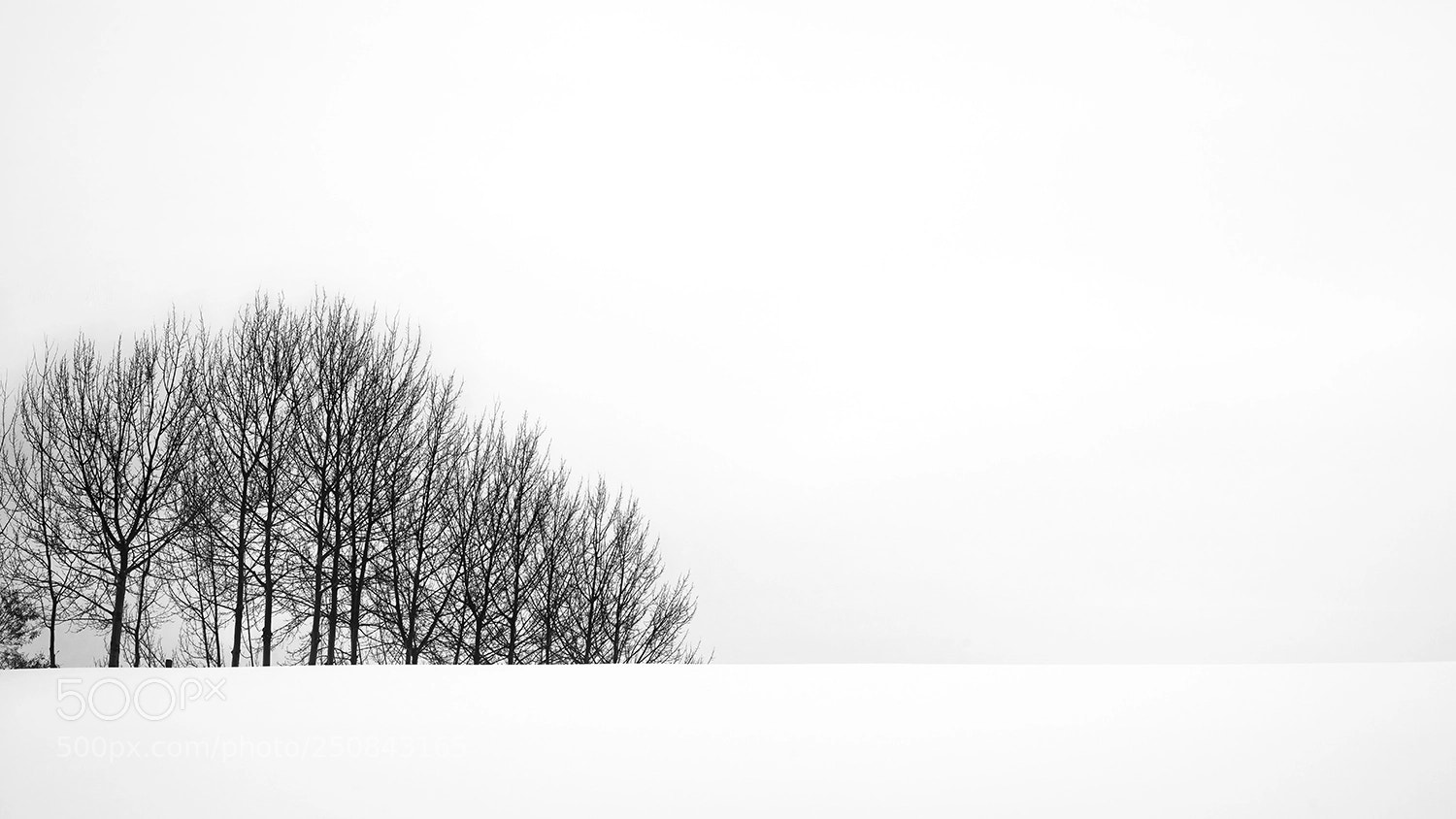 Sony a7R sample photo. Untitled photography