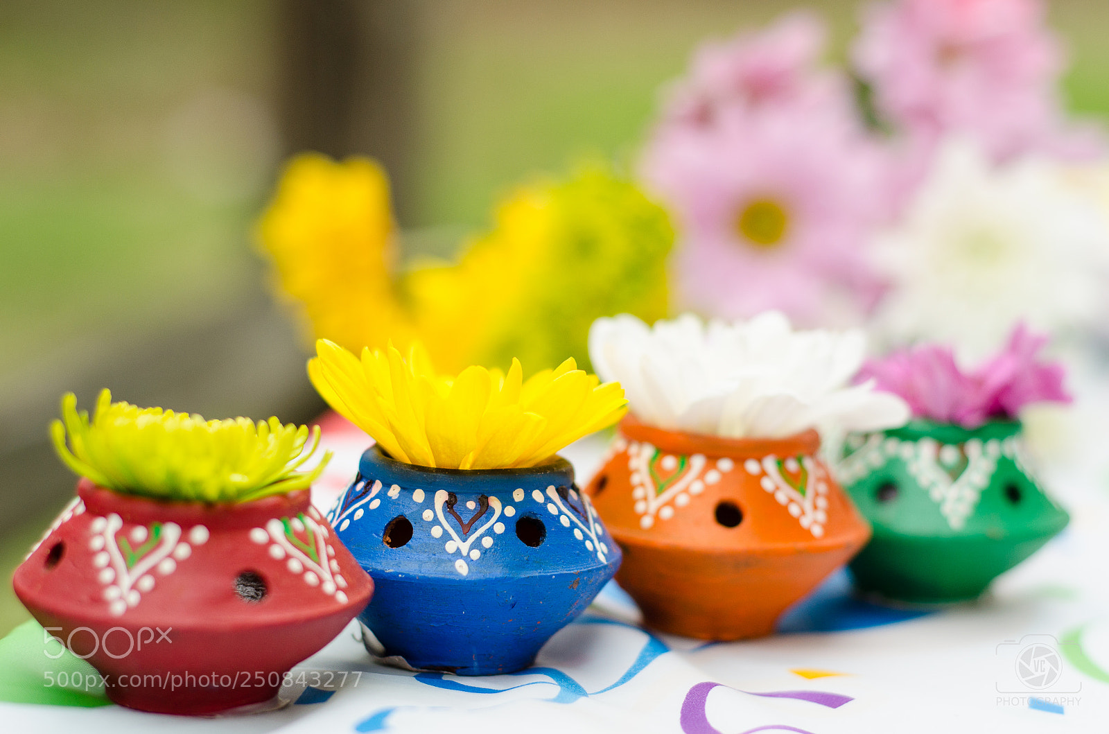 Nikon D7000 sample photo. Colors of life photography