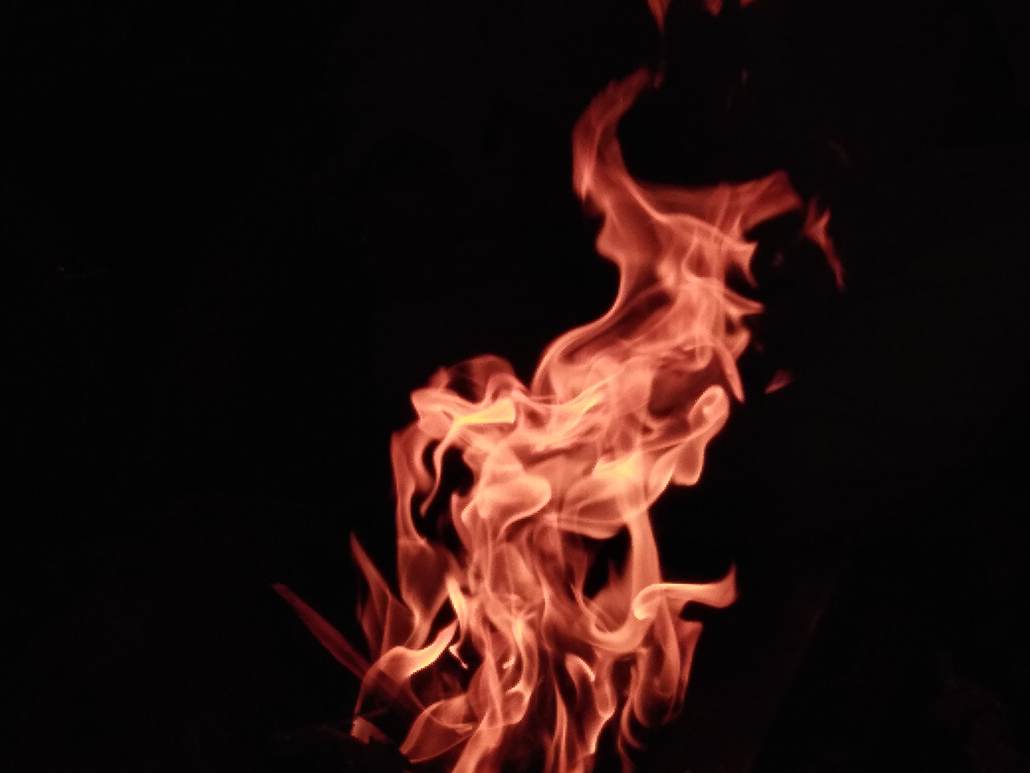 vivo Y55s sample photo. Fire🔥 photography