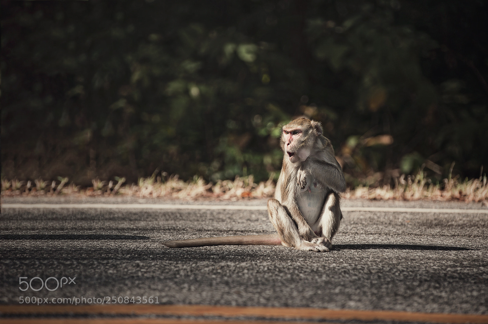 Nikon D610 sample photo. On the road photography