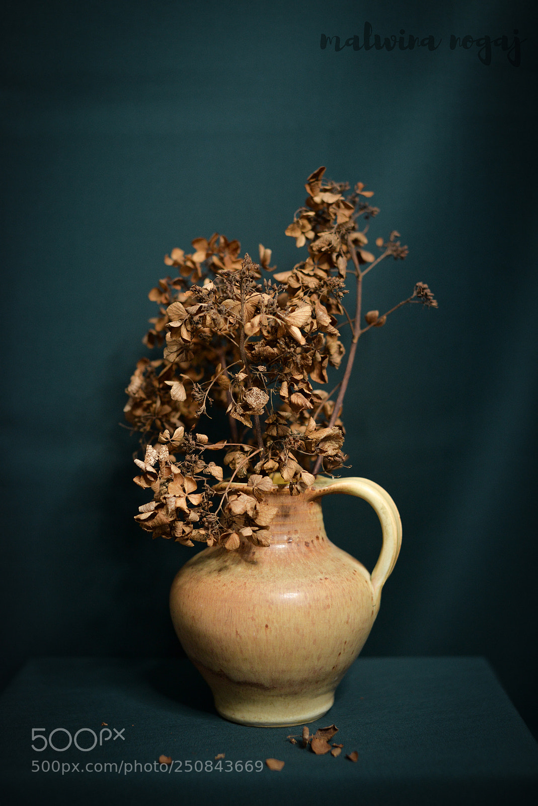 Nikon D610 sample photo. Hydrangea in vase photography