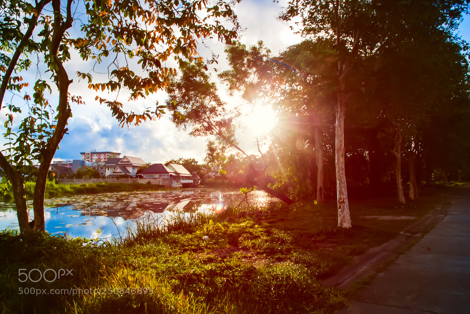 Nikon D80 sample photo. Blue sky white cloud photography