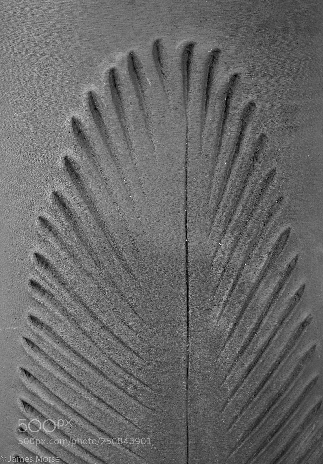 Nikon D3300 sample photo. Feather photography