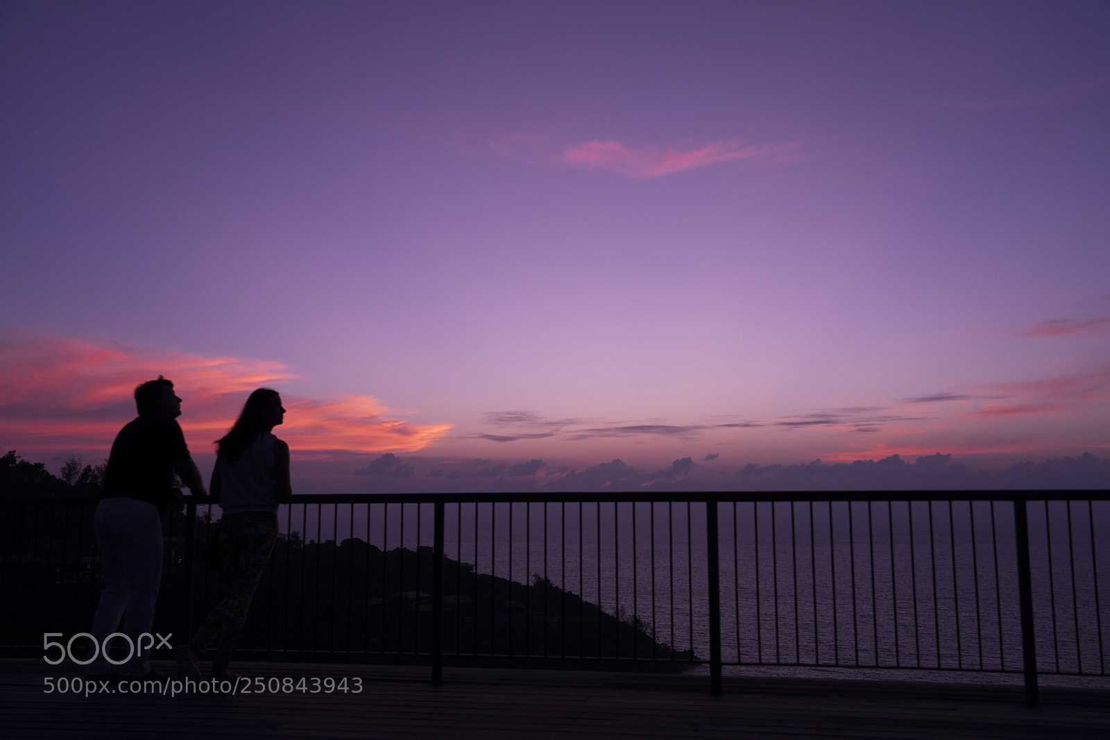 Sony a7 II sample photo. Shades of magenta photography
