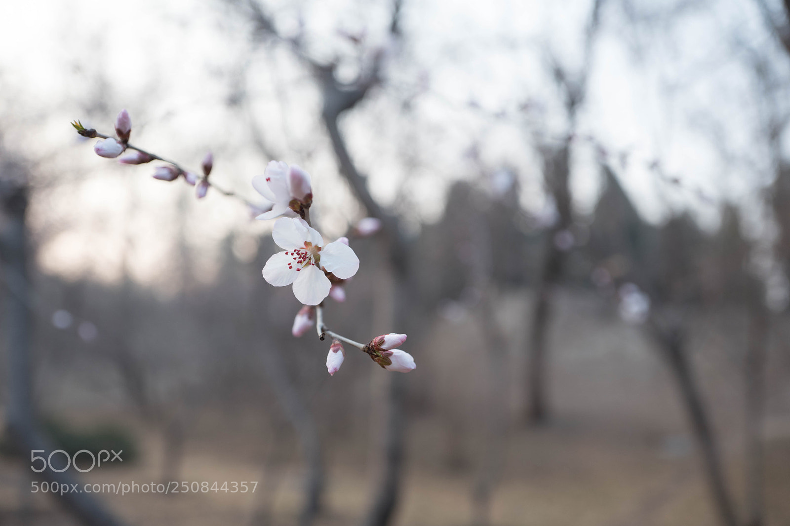 Leica Q (Typ 116) sample photo. L photography