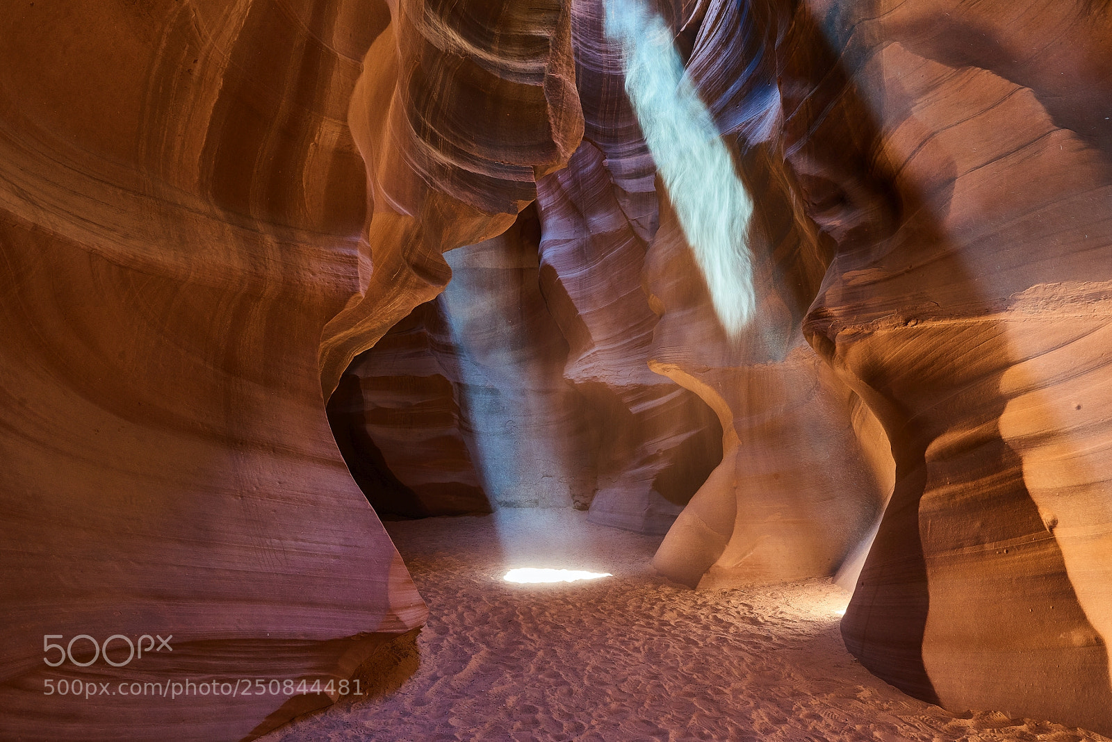 Nikon D810 sample photo. Antelope 1 photography