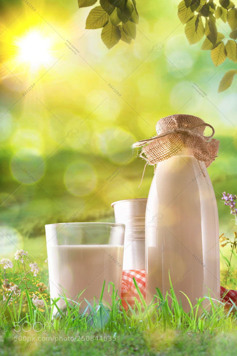 Nikon D810 sample photo. Organic milk on grass photography
