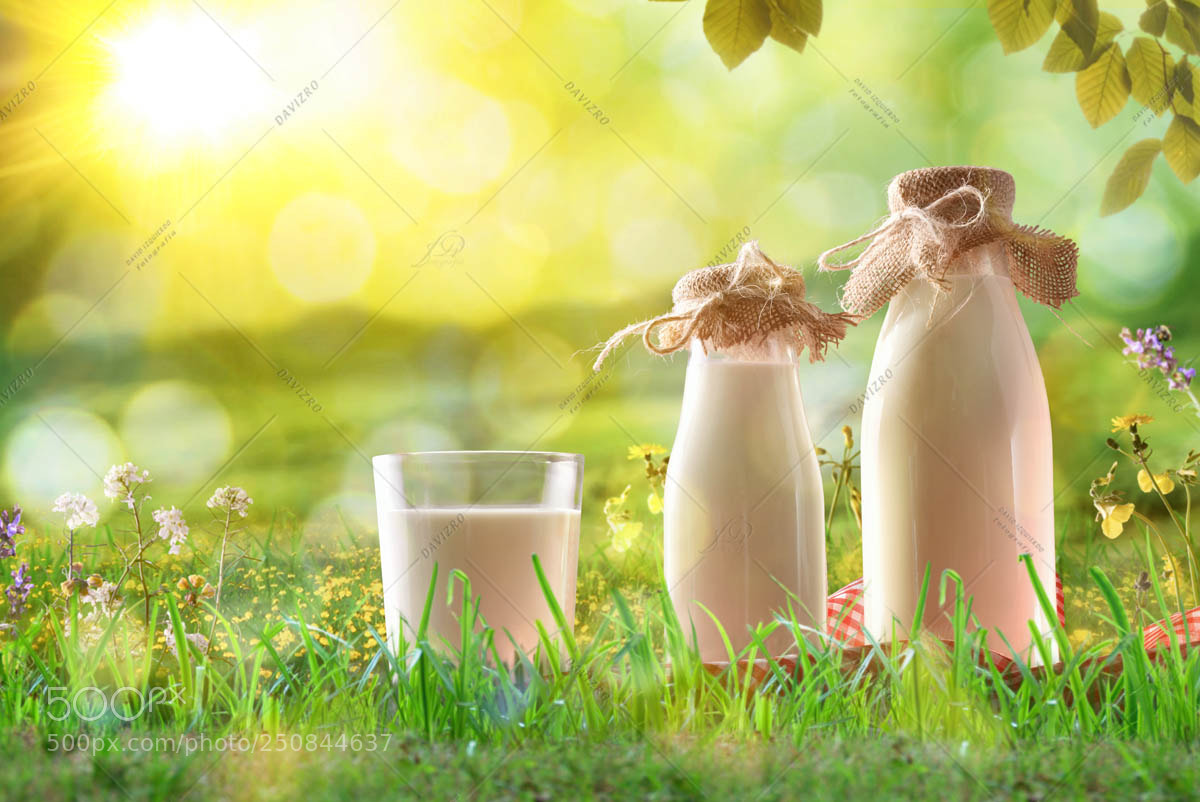 Nikon D810 sample photo. Organic milk on grass photography