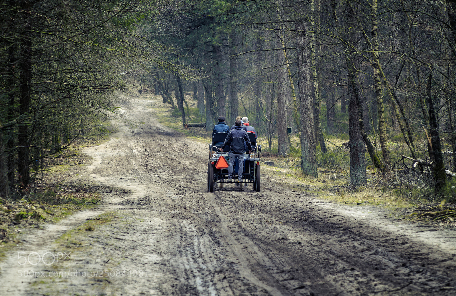 Canon EOS 1300D (EOS Rebel T6 / EOS Kiss X80) sample photo. Horse and carriage photography