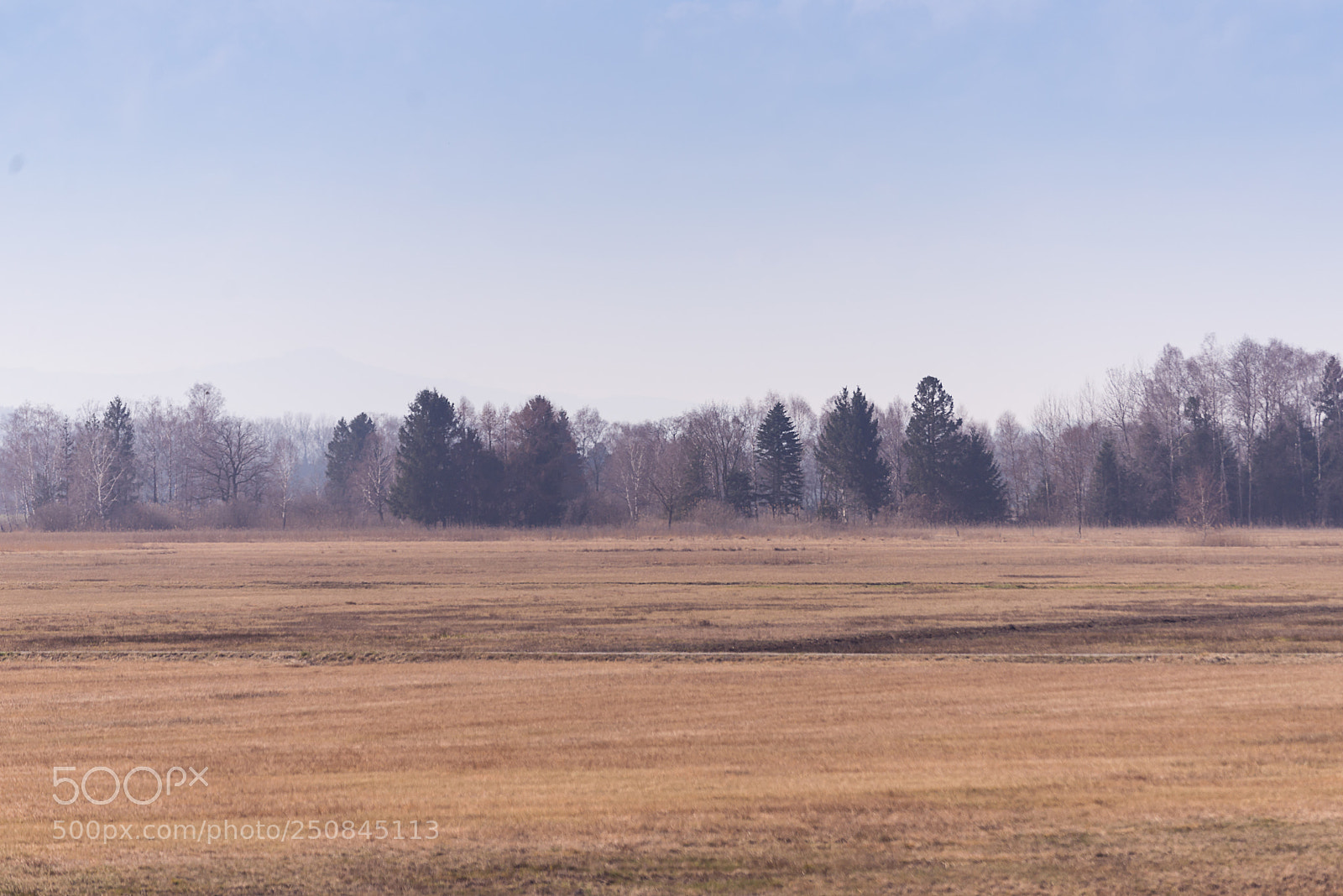 Nikon D610 sample photo. Earth colours photography