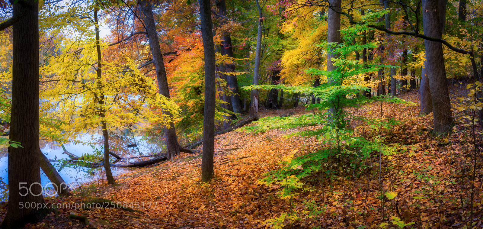 Sony a7R sample photo. Lakeside in early november photography