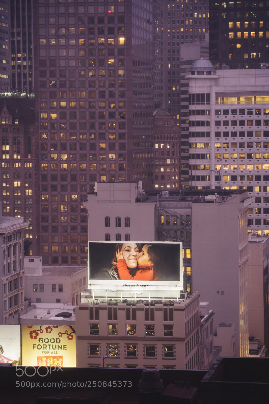Sony a6300 sample photo. San francisco | california photography
