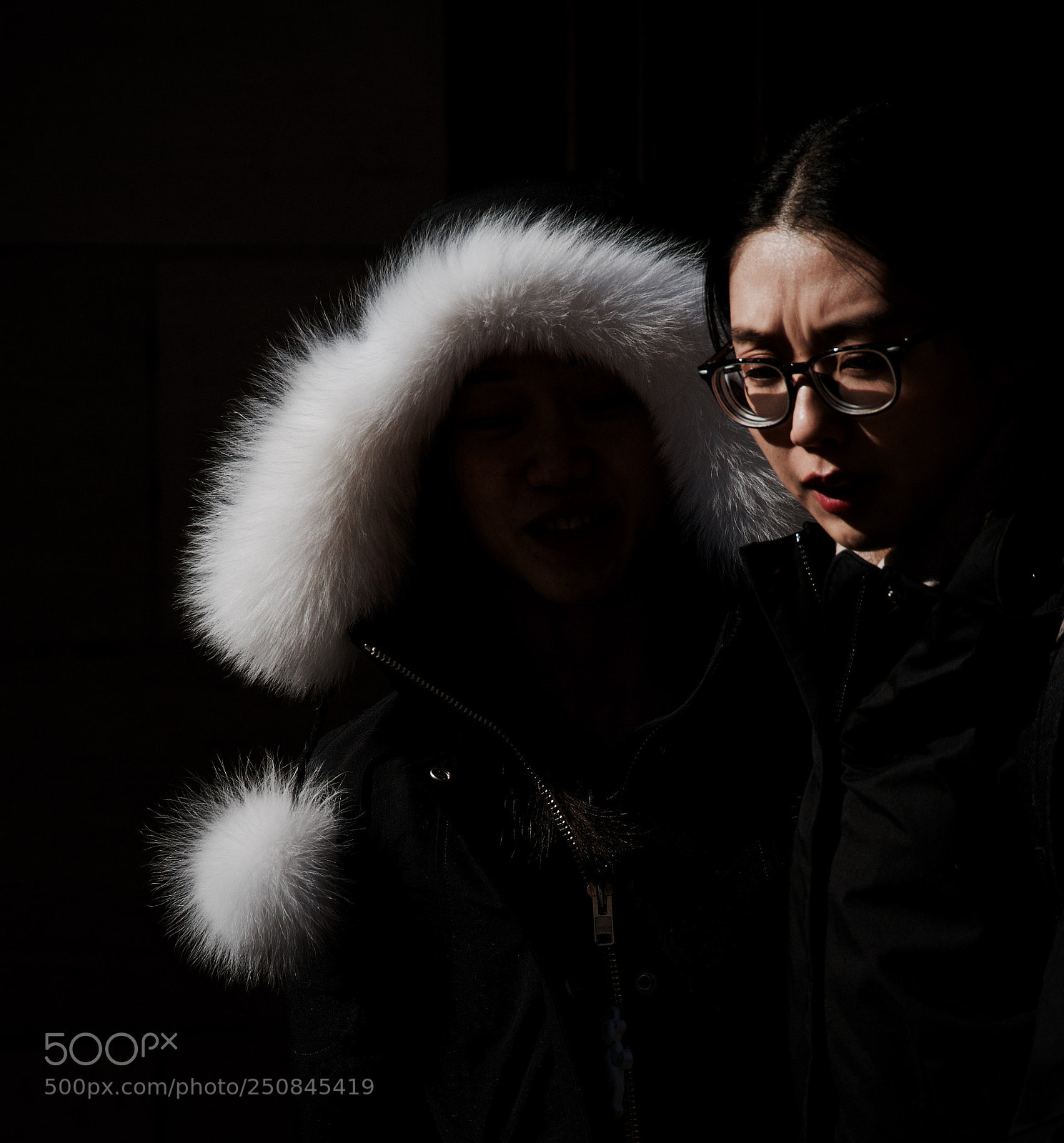 Nikon D5600 sample photo. Shadowplay photography