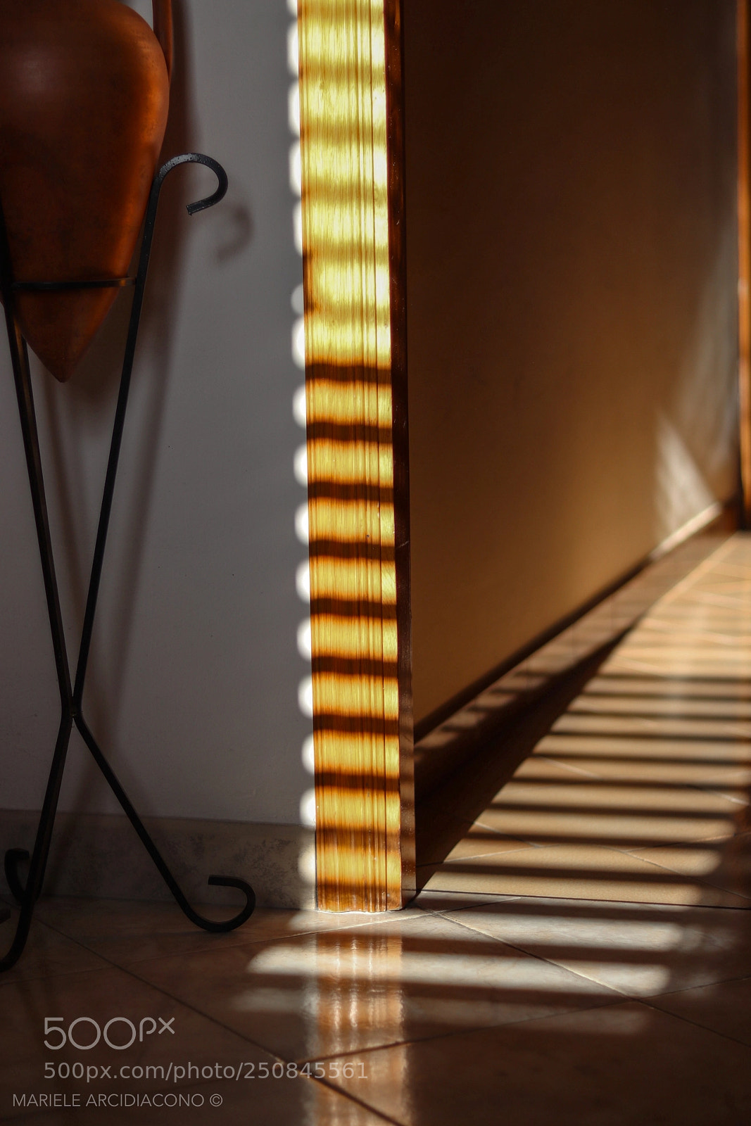 Canon EOS 200D (EOS Rebel SL2 / EOS Kiss X9) sample photo. Morning lights photography