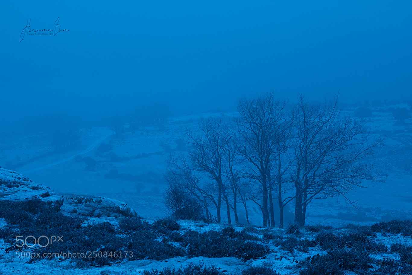 Nikon D500 sample photo. Blue winter photography