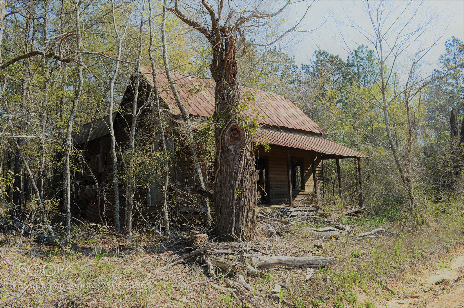 Nikon D3200 sample photo. This old house photography