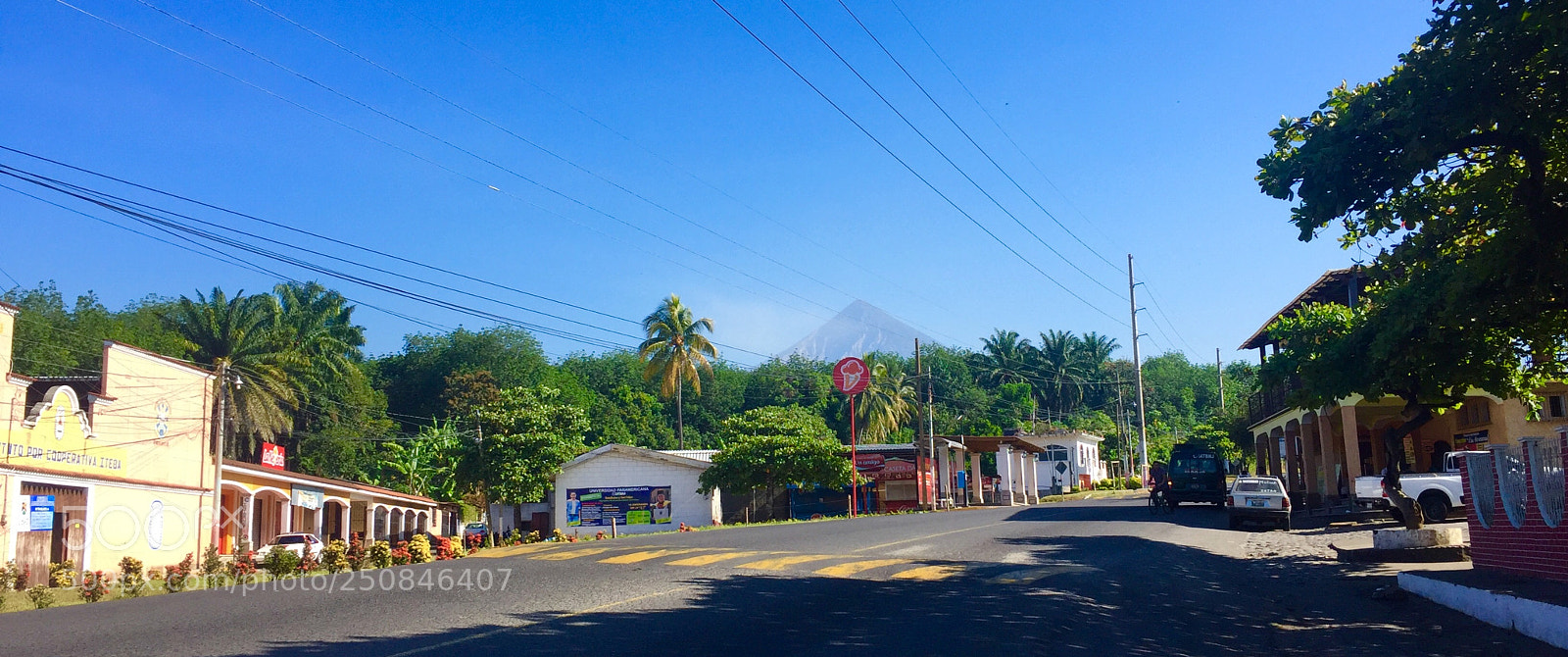Apple iPhone 6 sample photo. Hay vida en tus photography