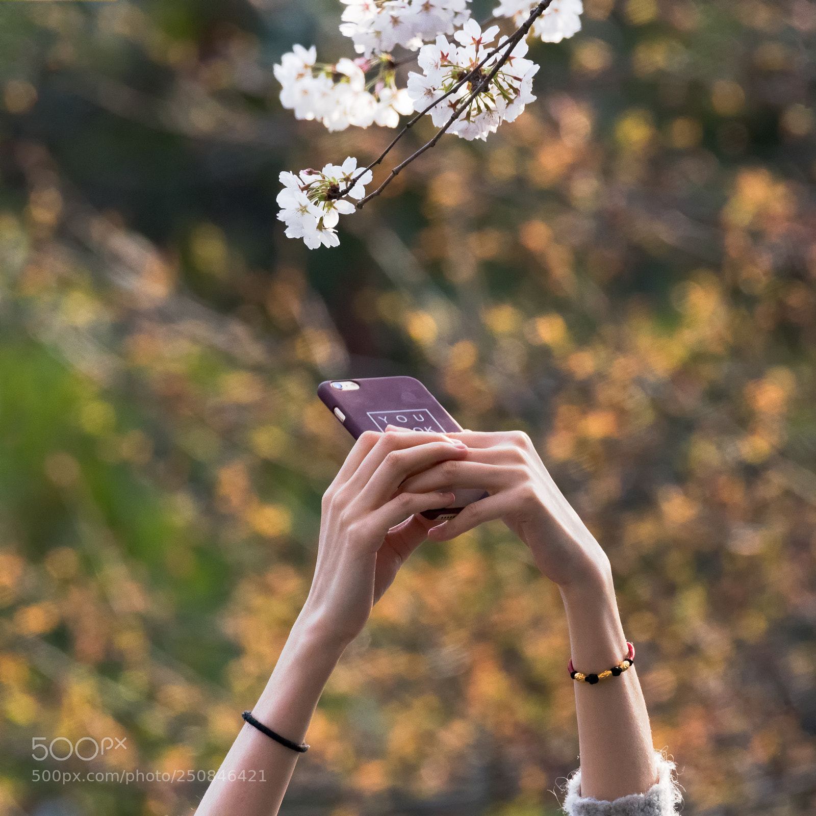 Canon EOS 80D sample photo. 111 photography