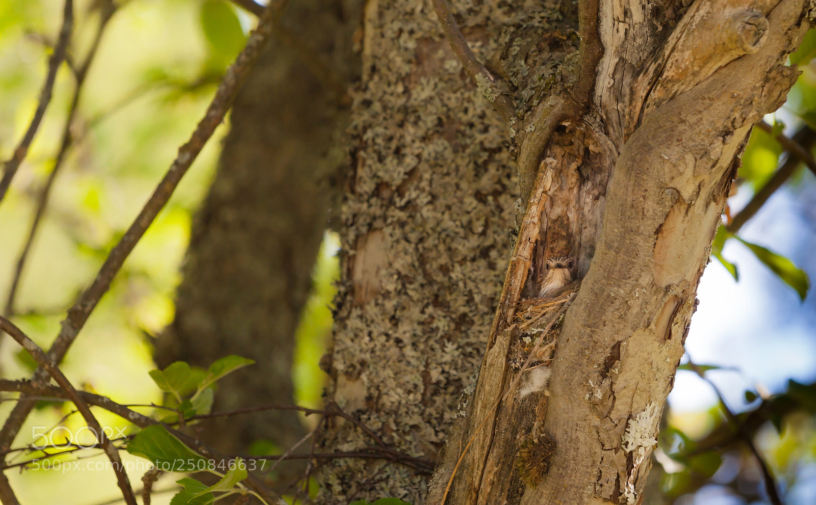 Canon EOS 5D Mark II sample photo. I'm not here! photography