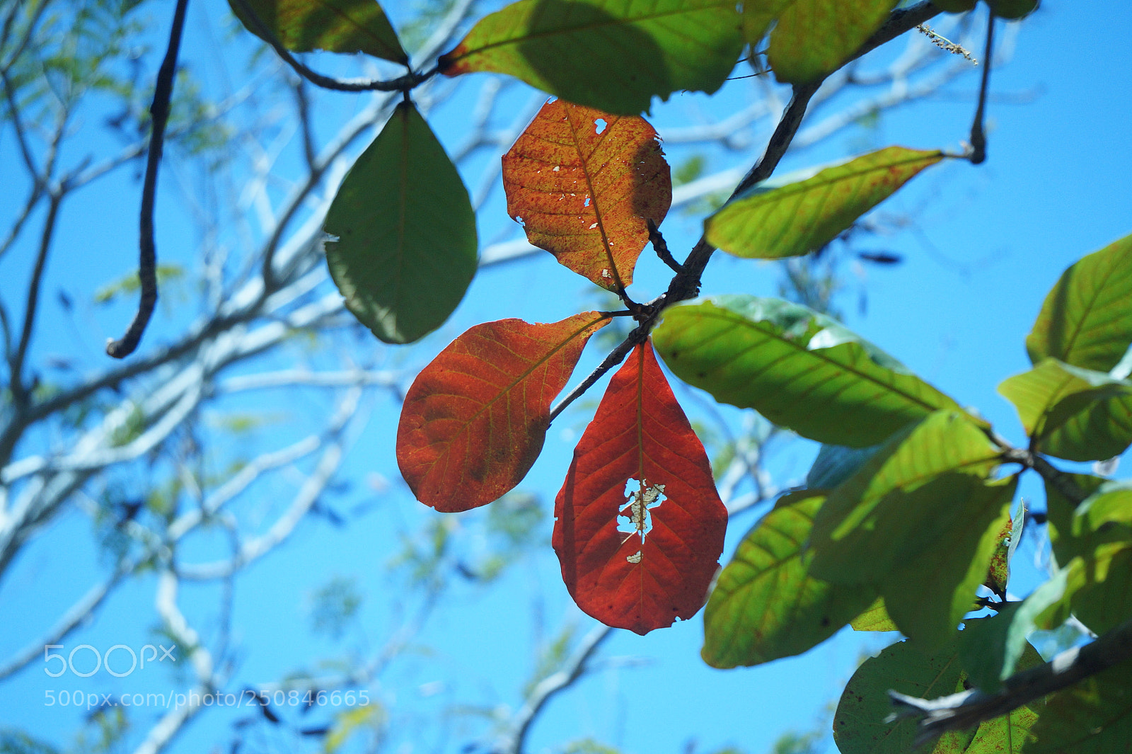 Sony Alpha a3500 sample photo. Untitled photography