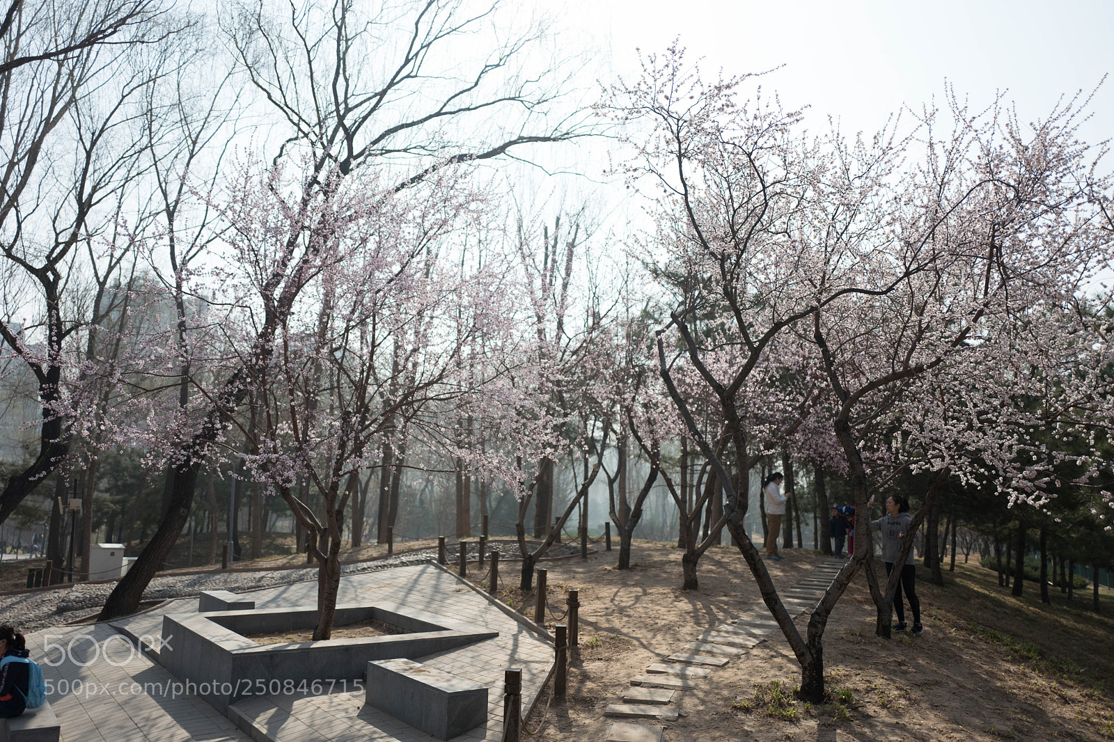Leica Q (Typ 116) sample photo. L photography