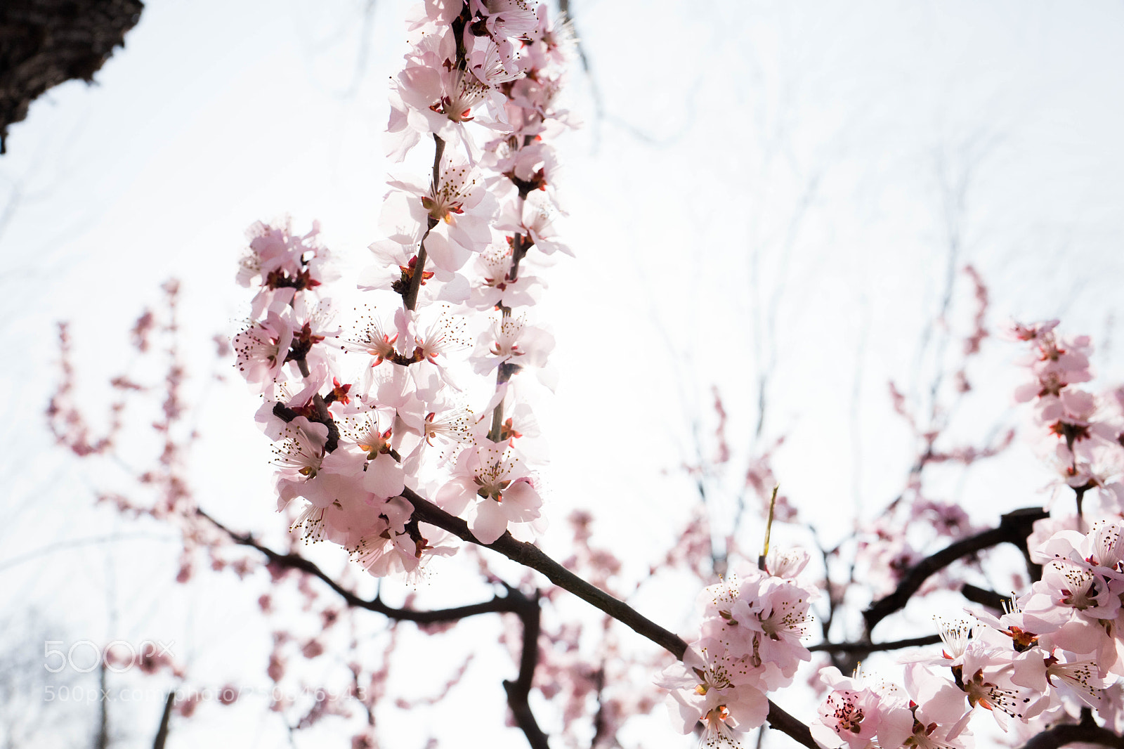 Leica Q (Typ 116) sample photo. L photography