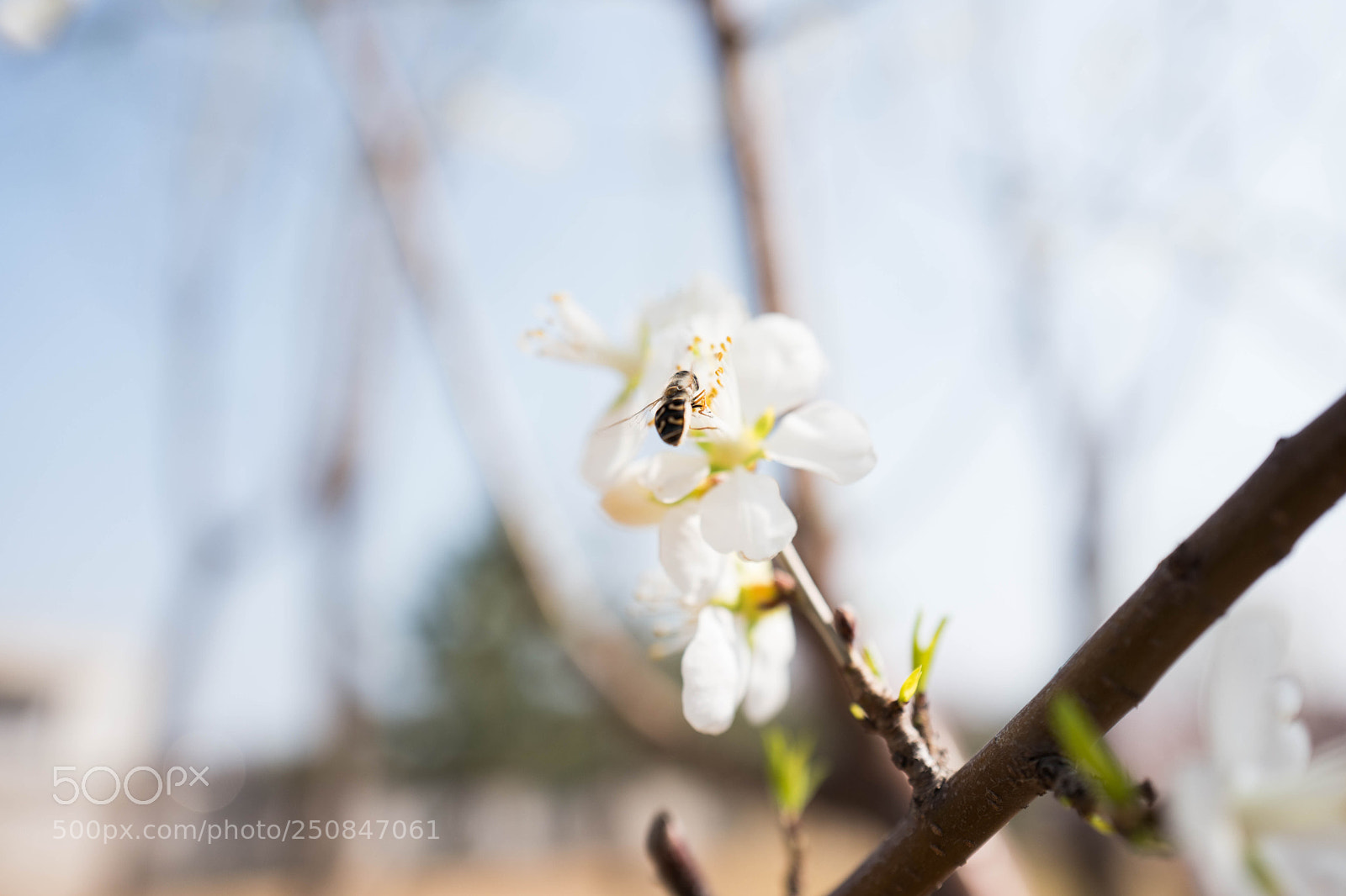 Leica Q (Typ 116) sample photo. L photography