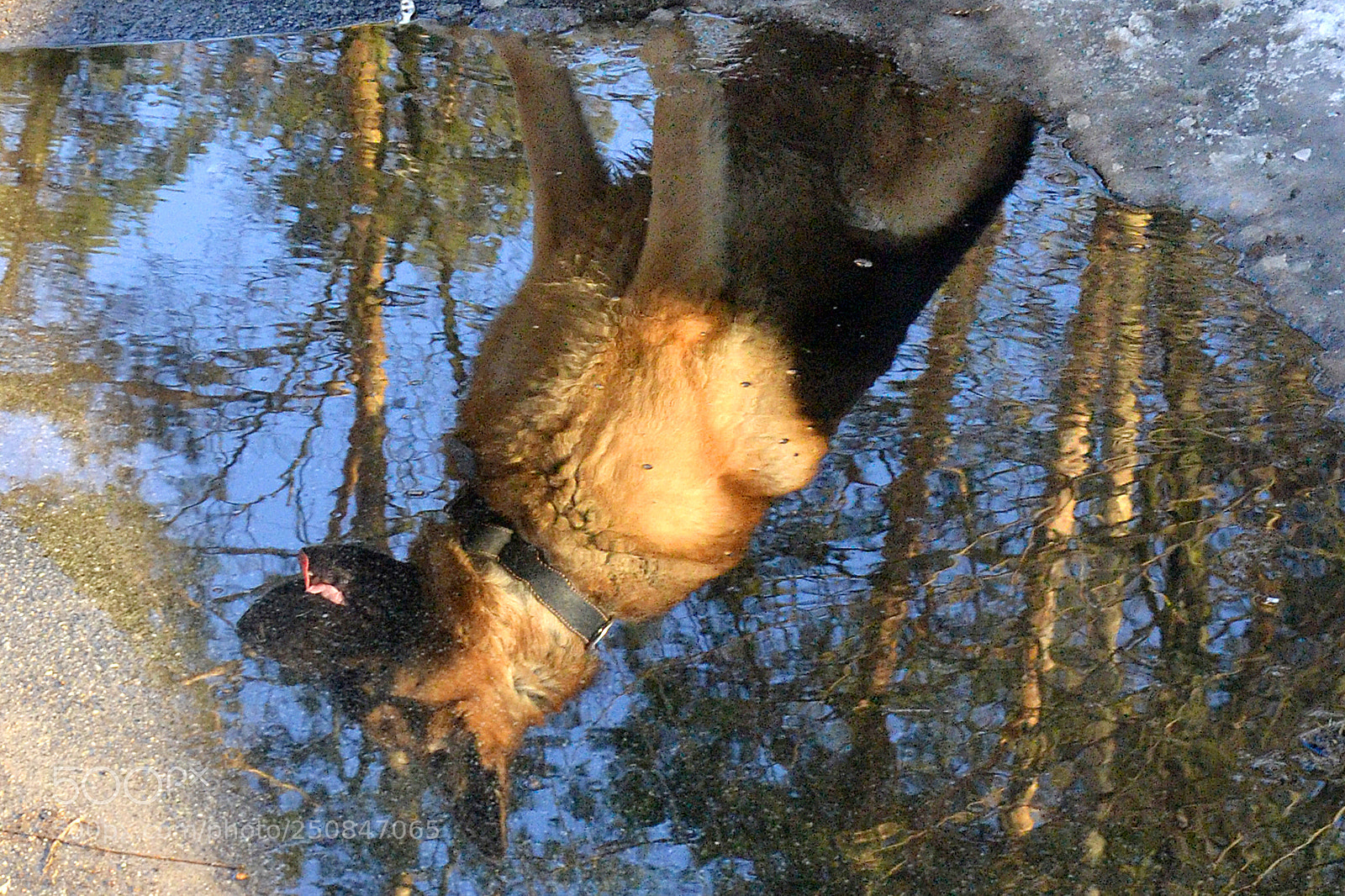 Nikon D3100 sample photo. Reflection photography