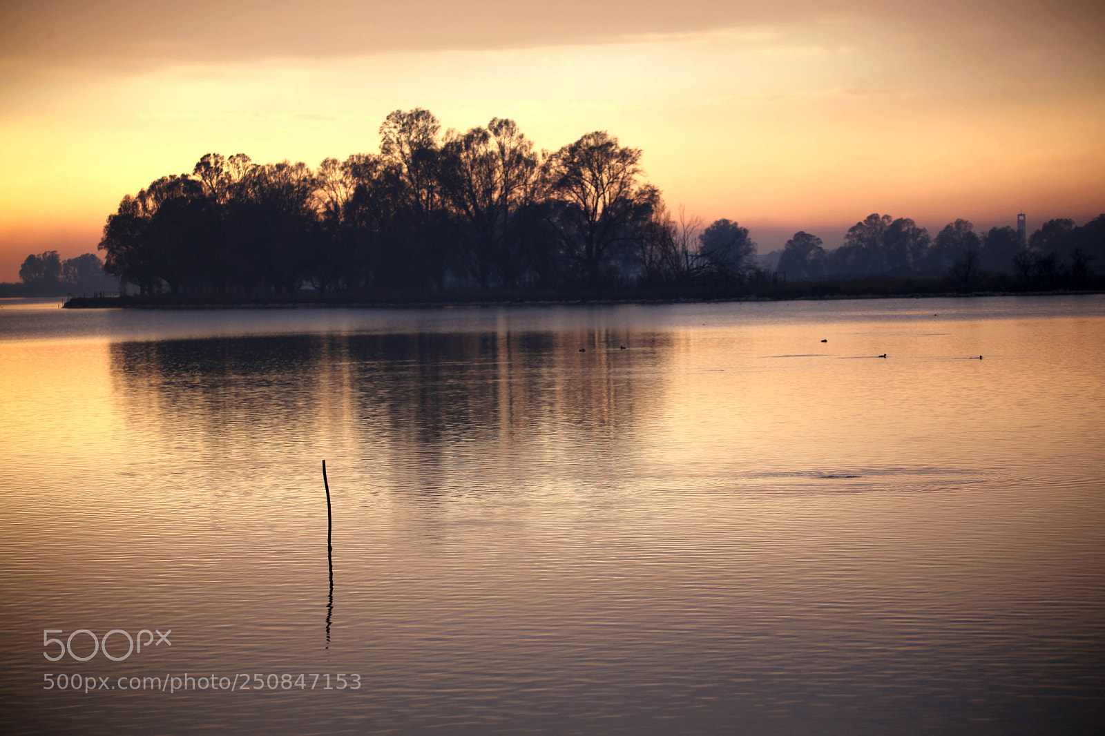 Canon EOS 5D Mark II sample photo. Img photography