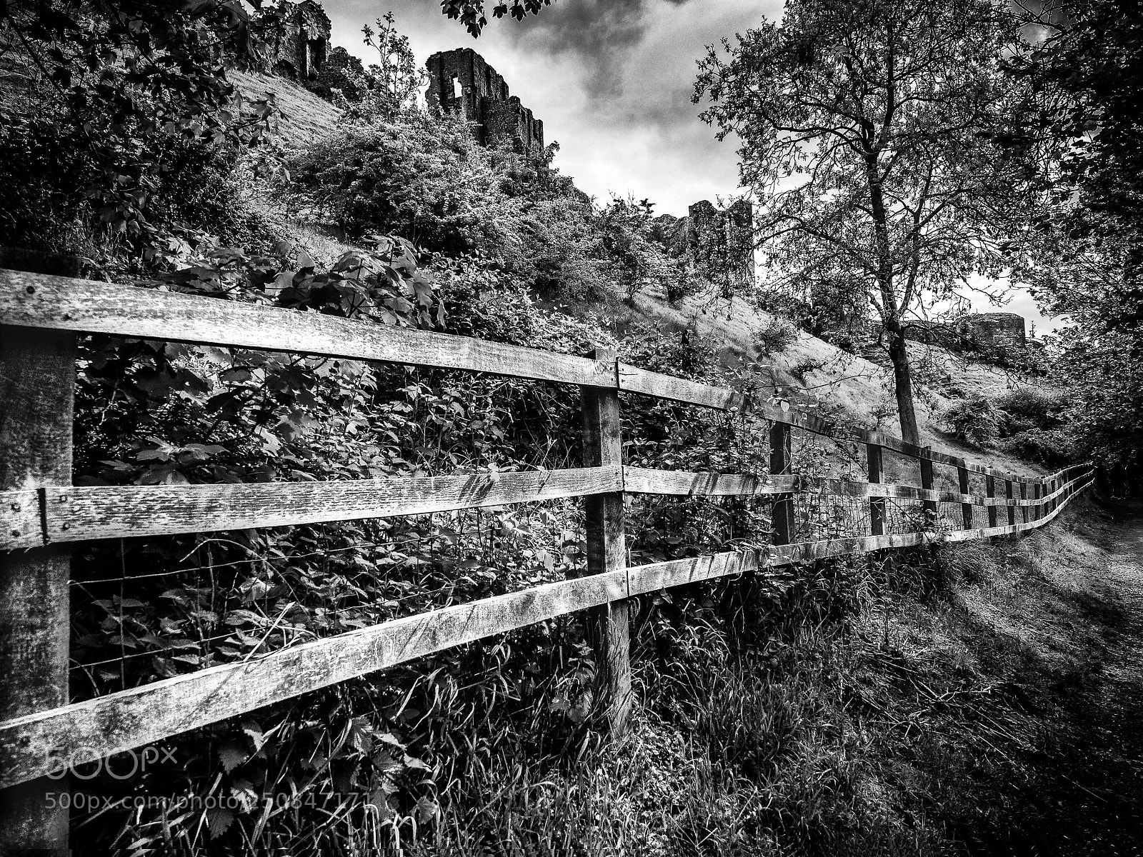 Olympus OM-D E-M10 sample photo. The fence photography