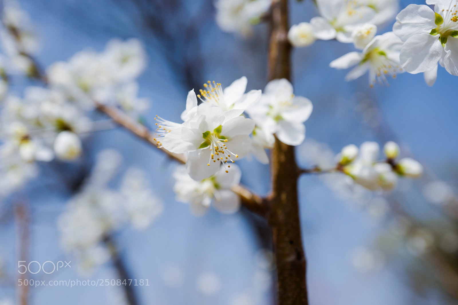 Leica Q (Typ 116) sample photo. L photography