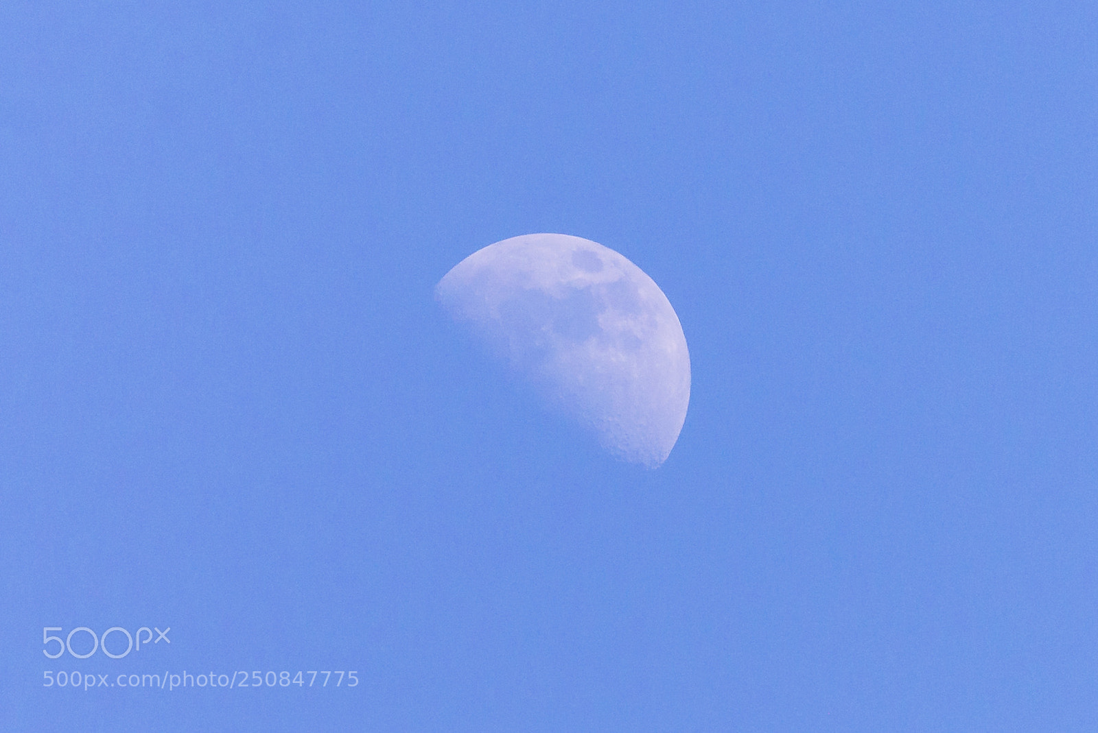 Nikon D610 sample photo. Moon photography