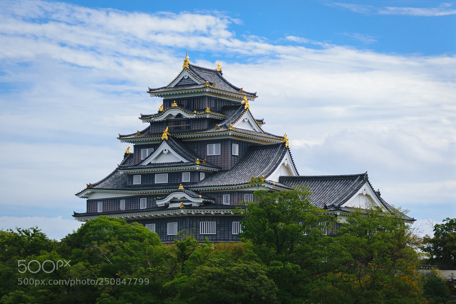 Nikon D5300 sample photo. Okayama castle photography