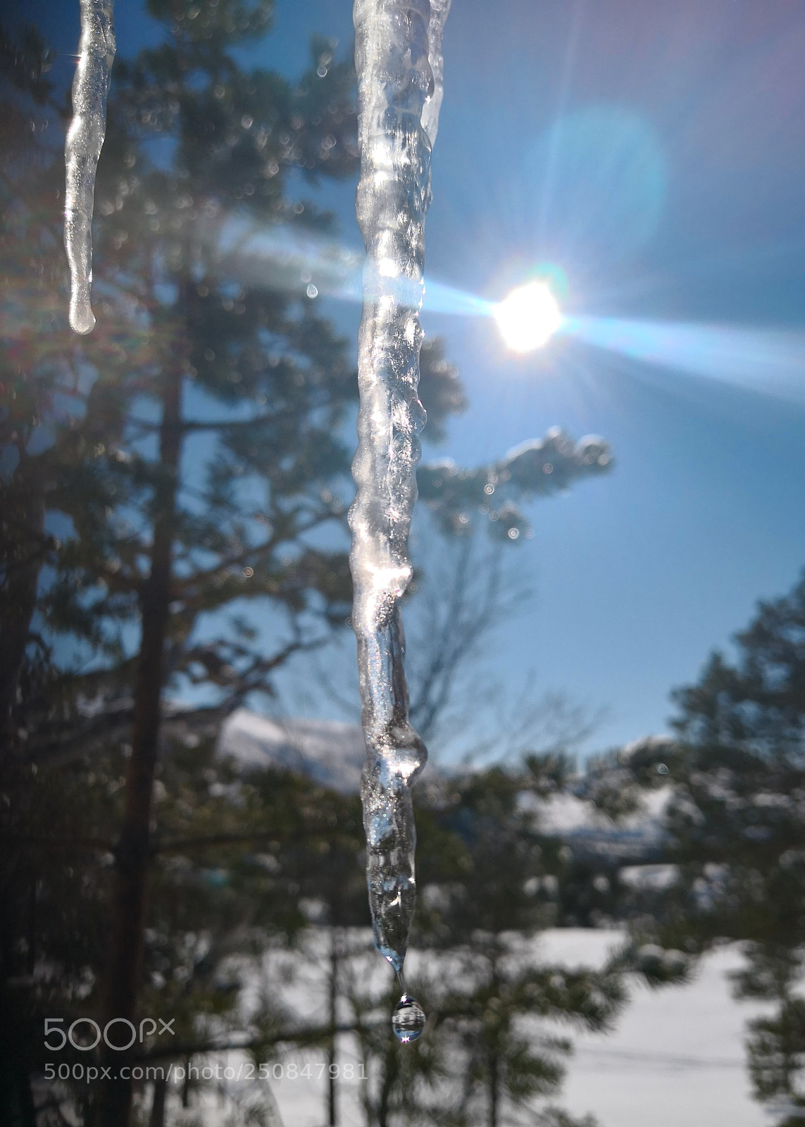 HUAWEI Mate 10 Pro sample photo. Icicles photography