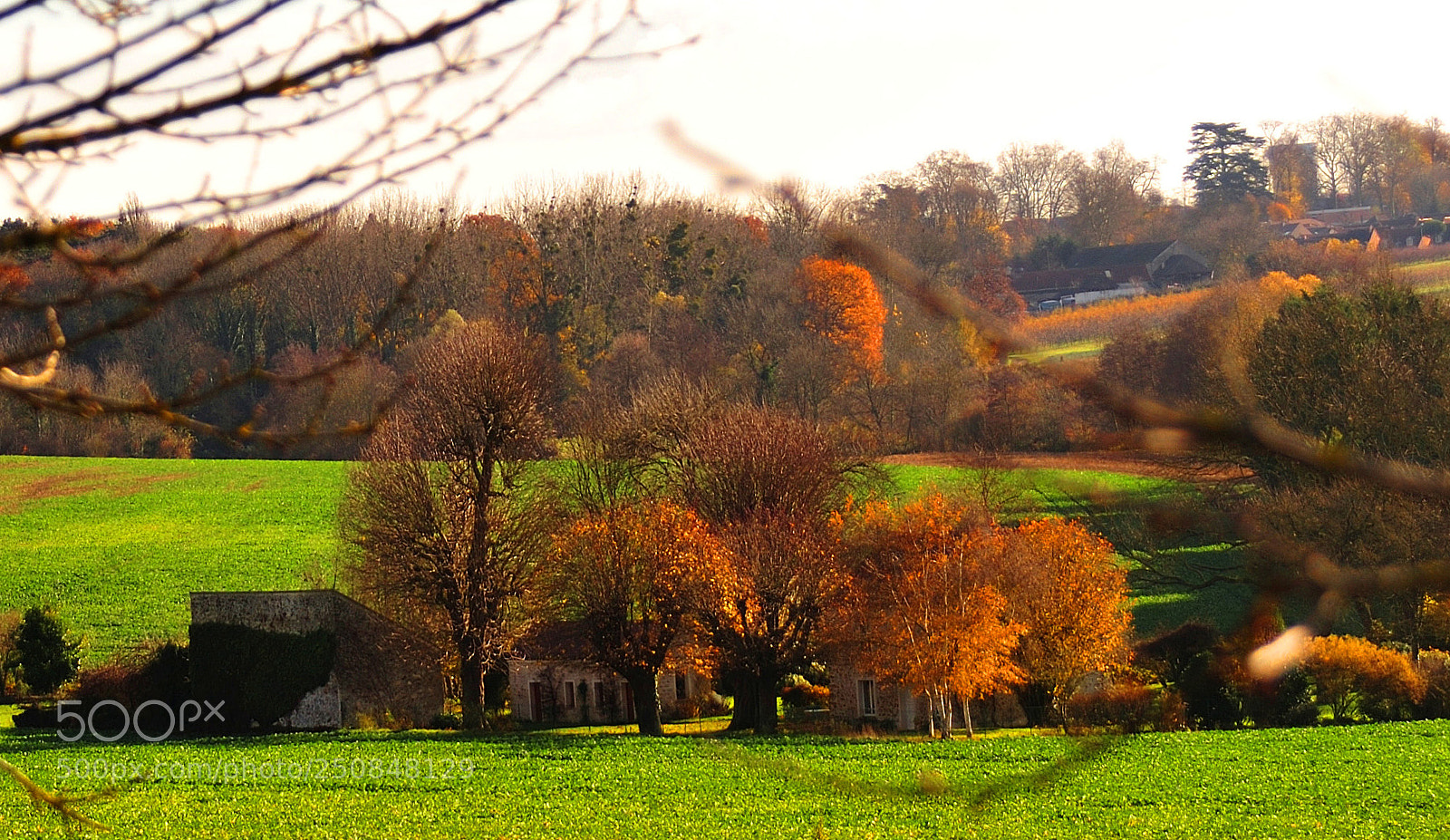 Nikon D700 sample photo. Campaign photography