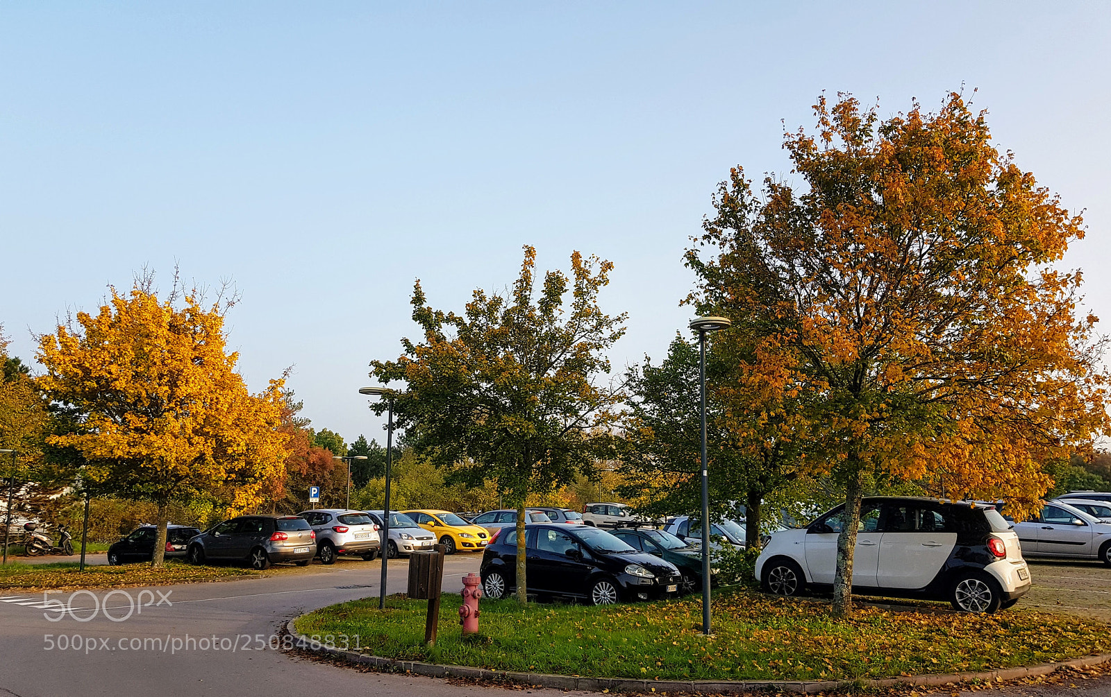 Samsung Galaxy S8+ sample photo. 20171018_171344.jpg photography