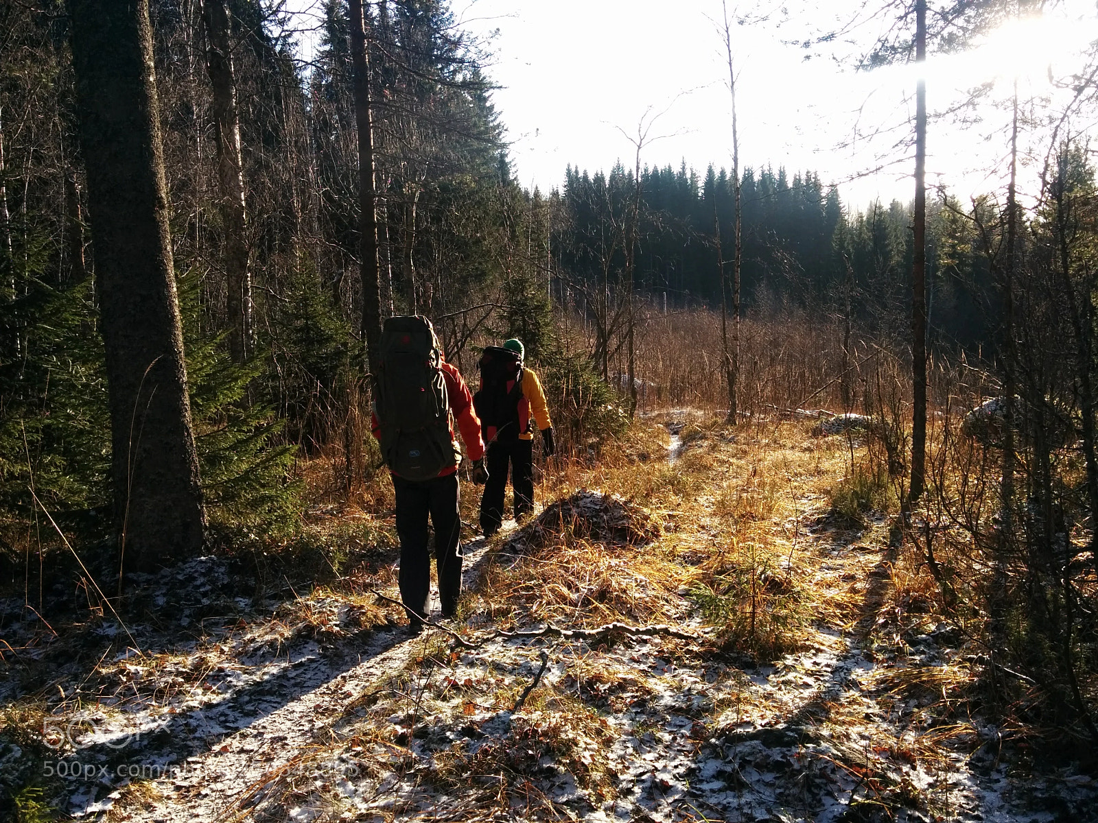 LG Nexus 5 sample photo. Finland. koli national park photography