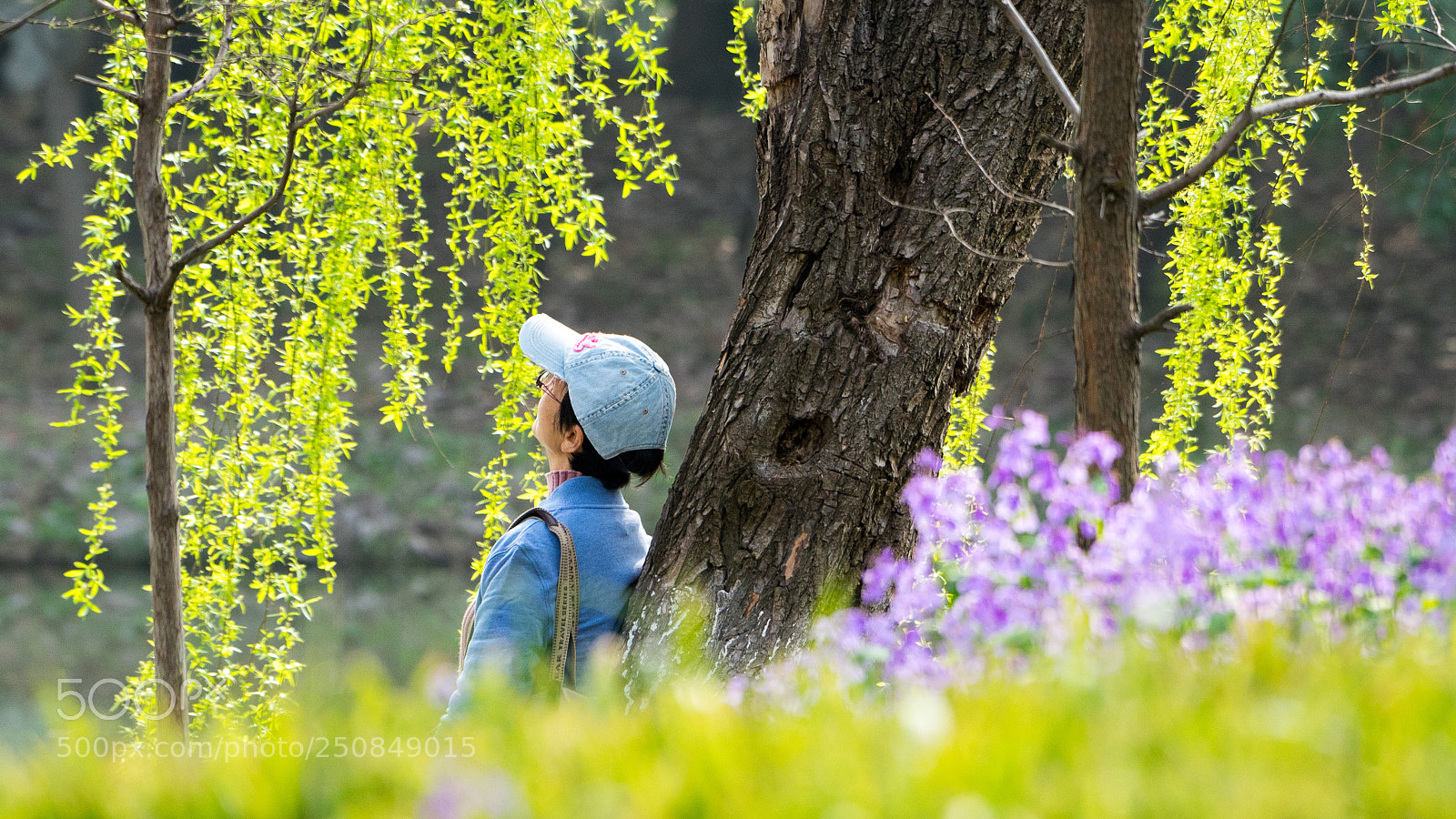Sony a7 sample photo. Spring #2 photography