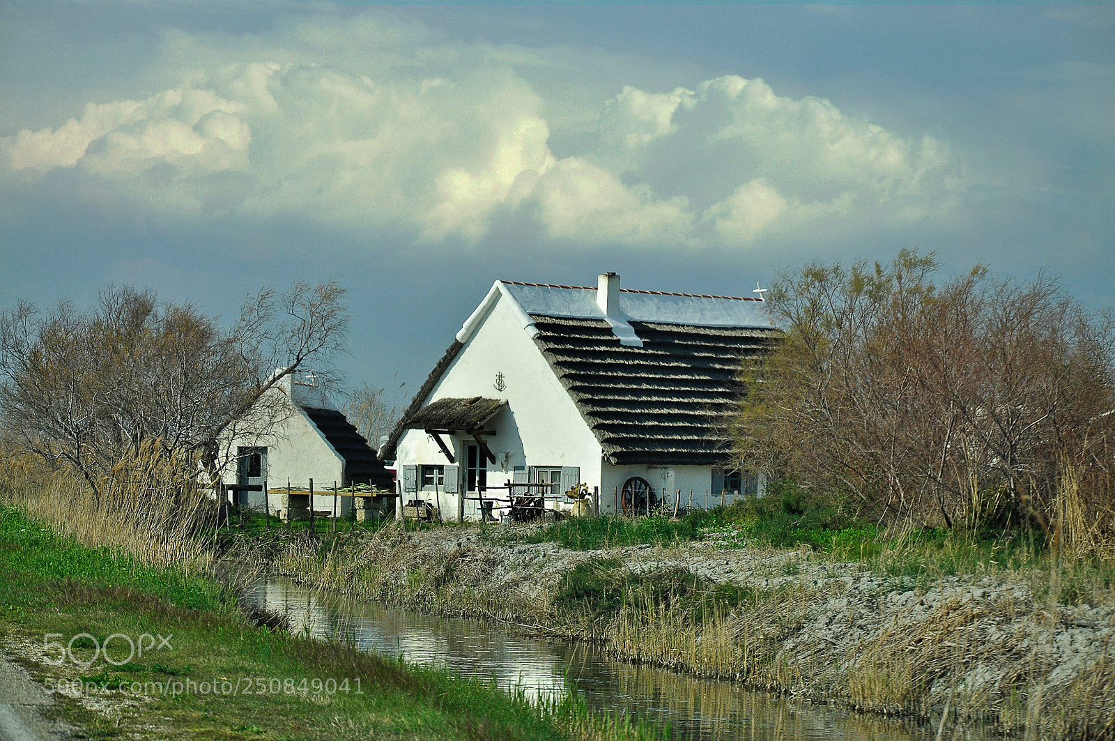 Nikon D5000 sample photo. Untitled photography
