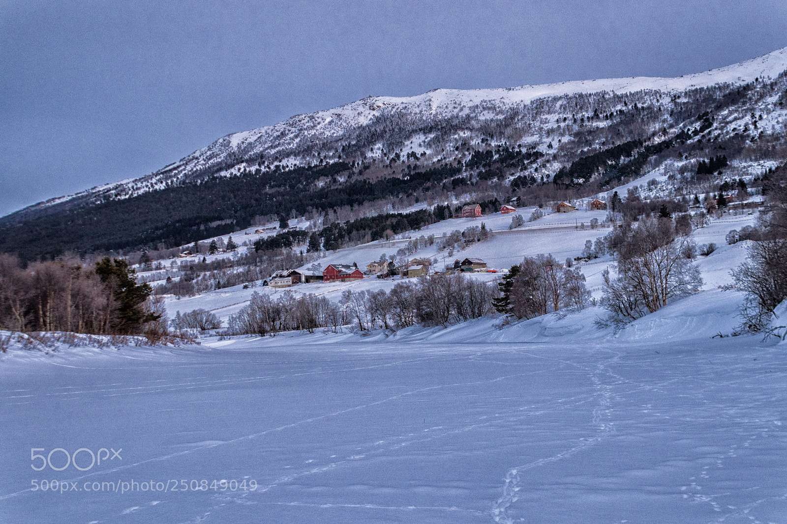 Canon EOS 80D sample photo. Winter in the valley photography