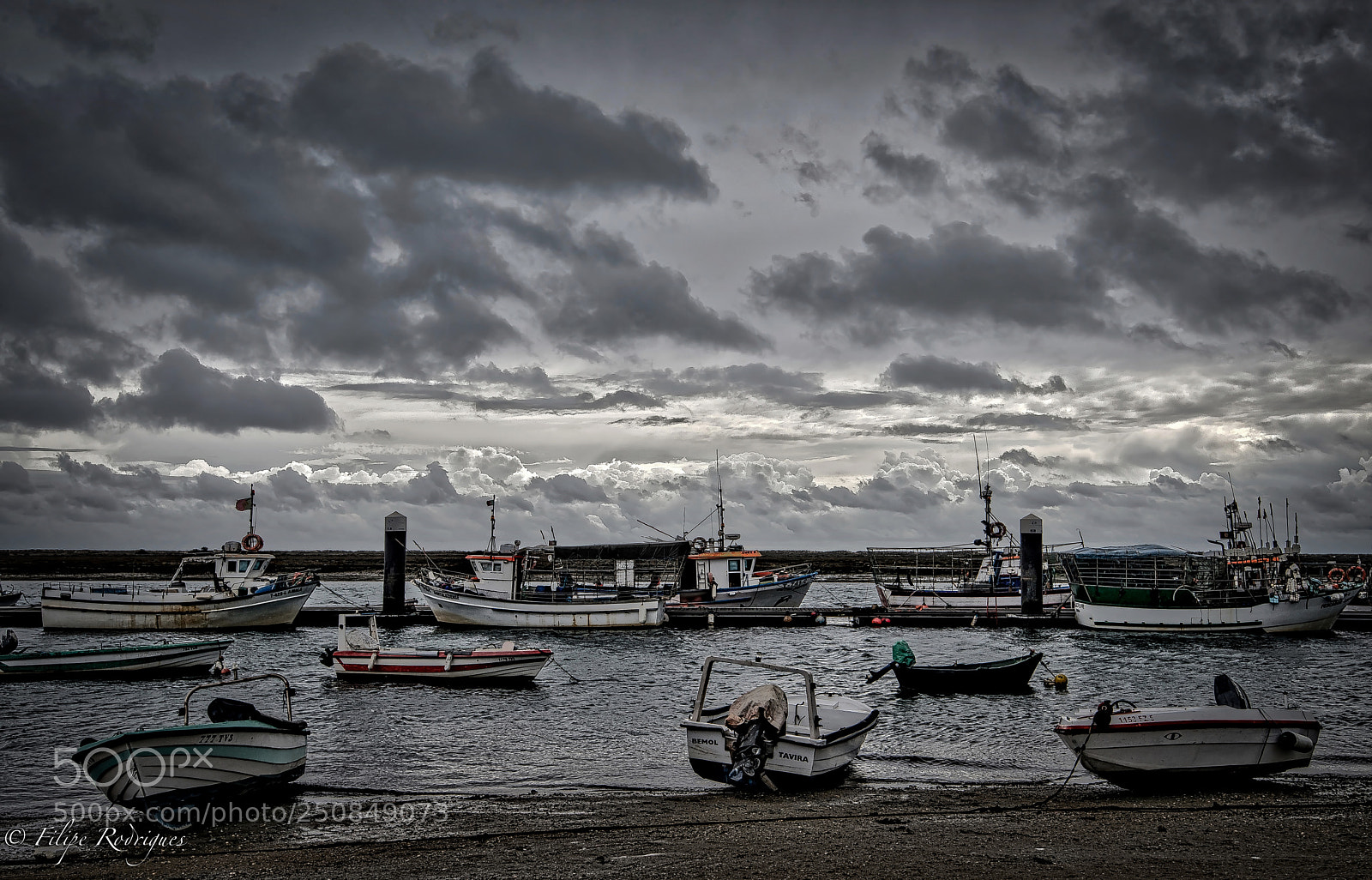 Nikon D800E sample photo. Untitled photography